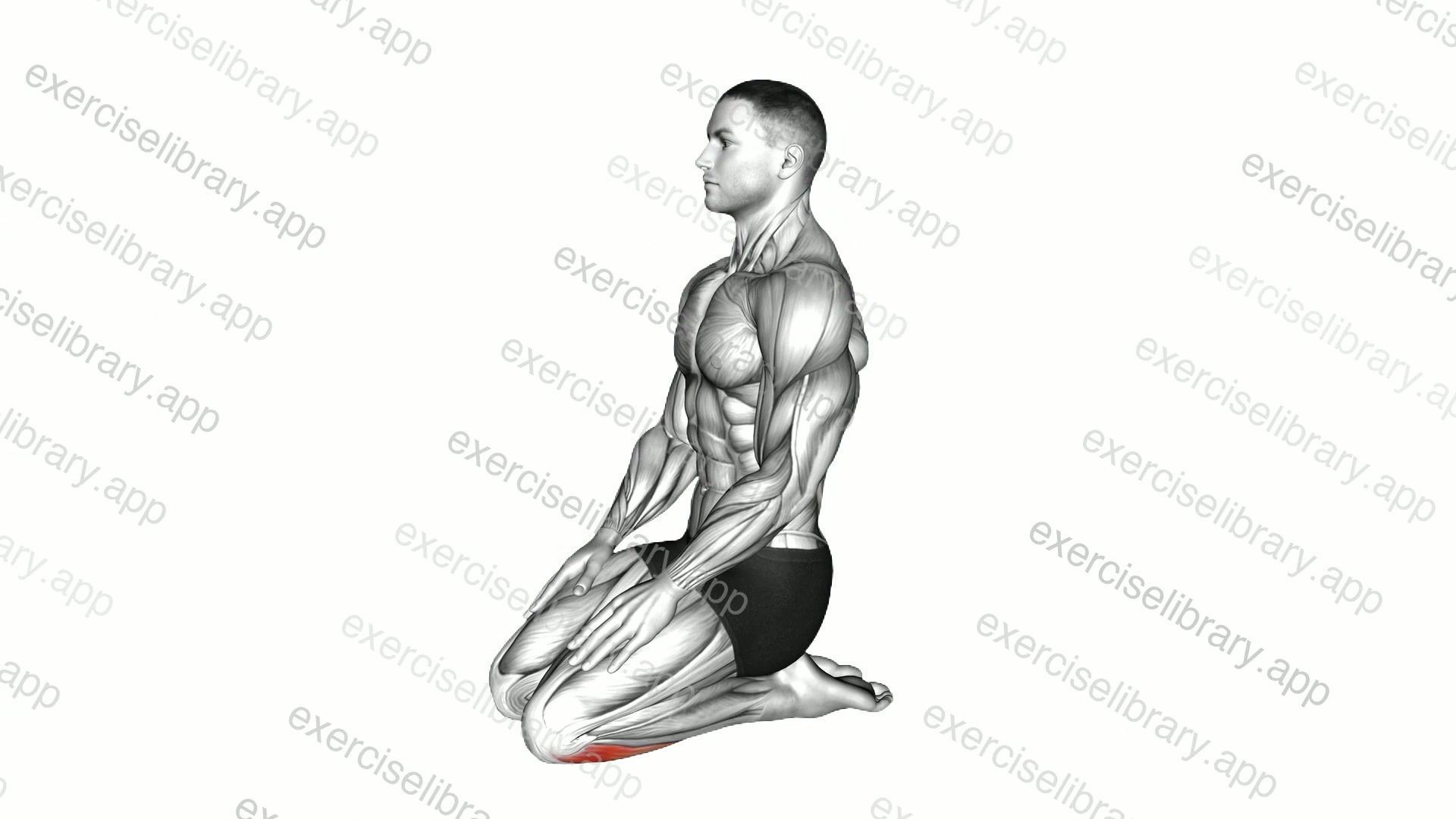 Seated Ankle Stretch demonstration