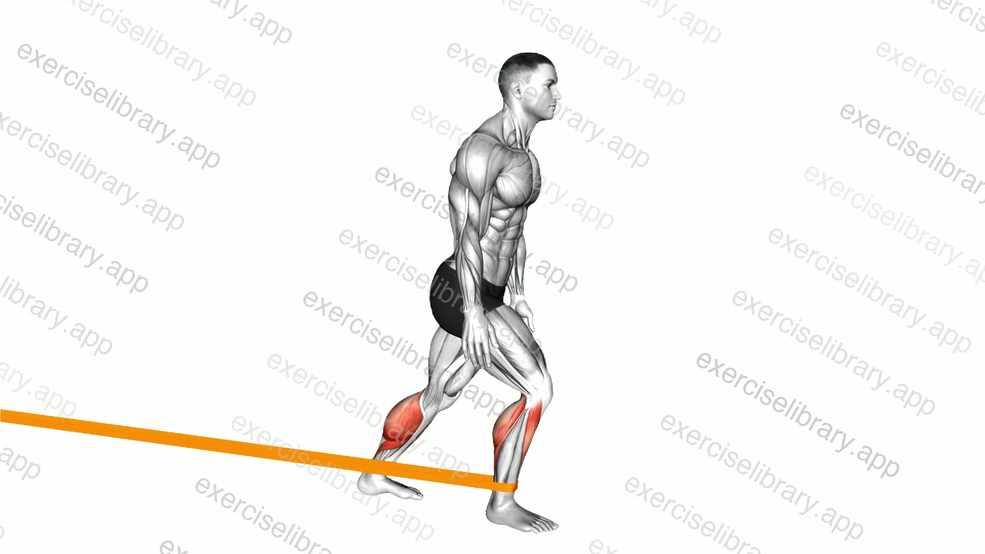Resistance Band Standing Back Achilles Stretch demonstration
