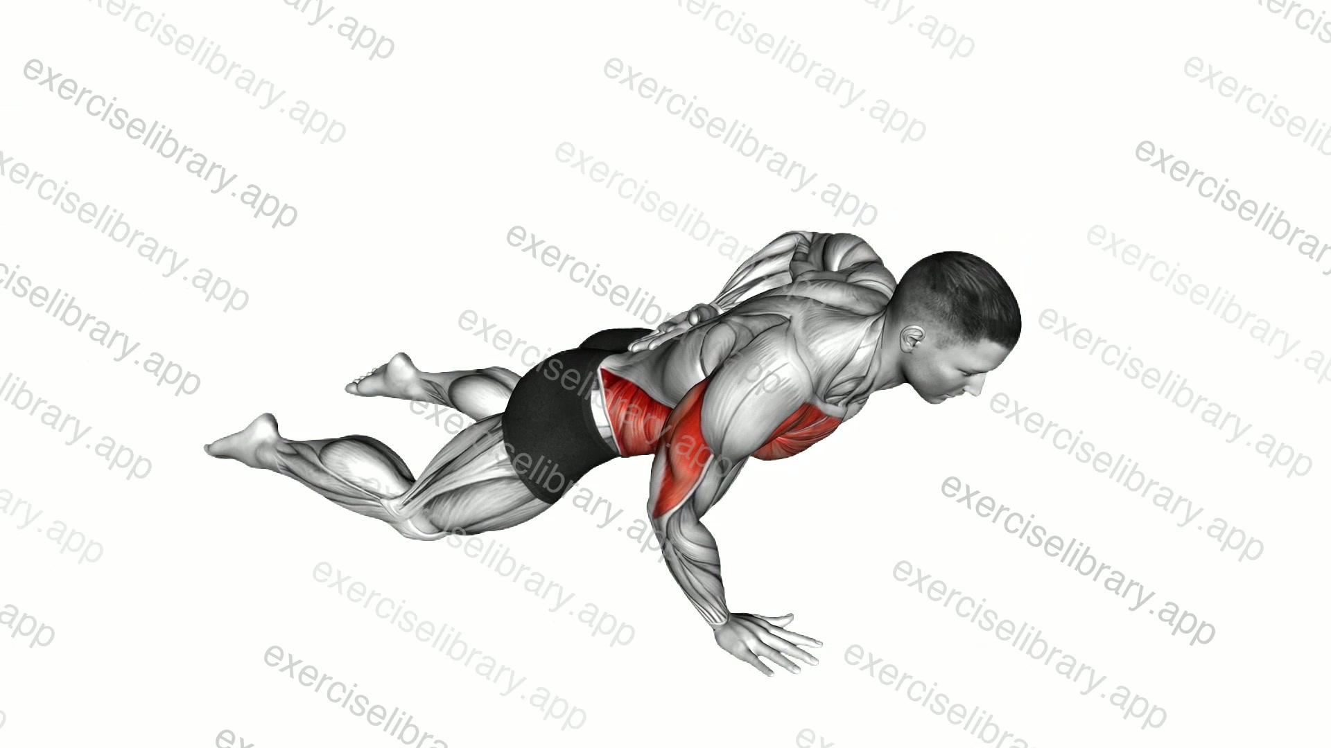 Single Arm Push-up demonstration