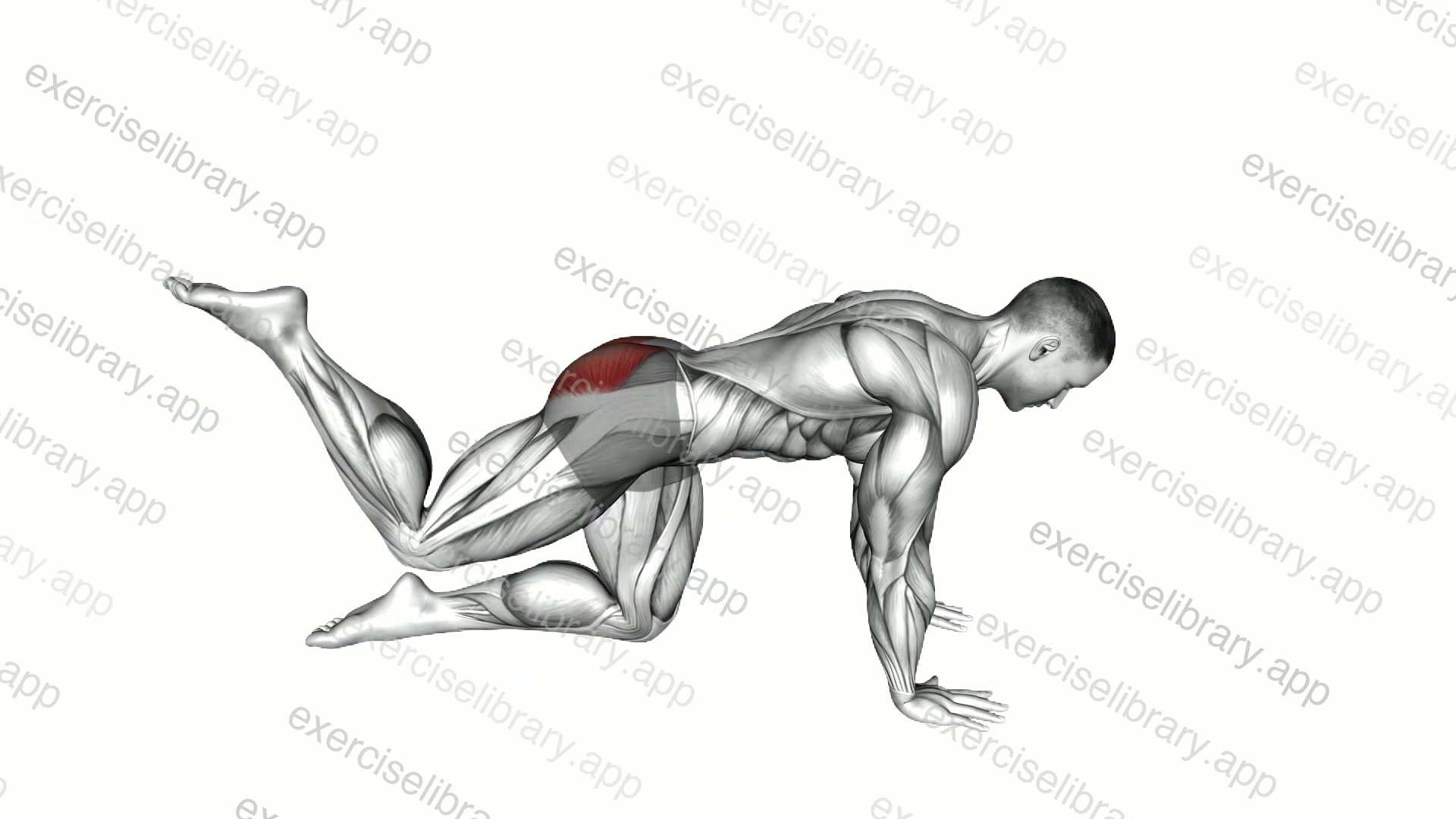 Bent Leg Kickback demonstration