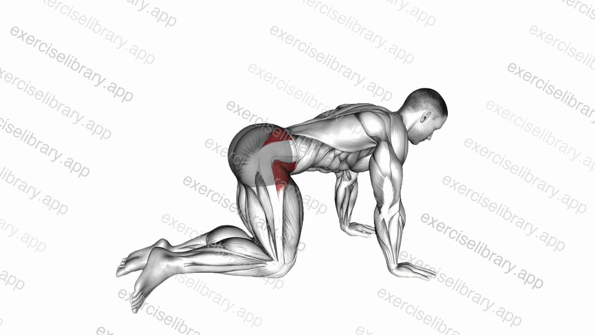 Bent Leg Side Kick demonstration