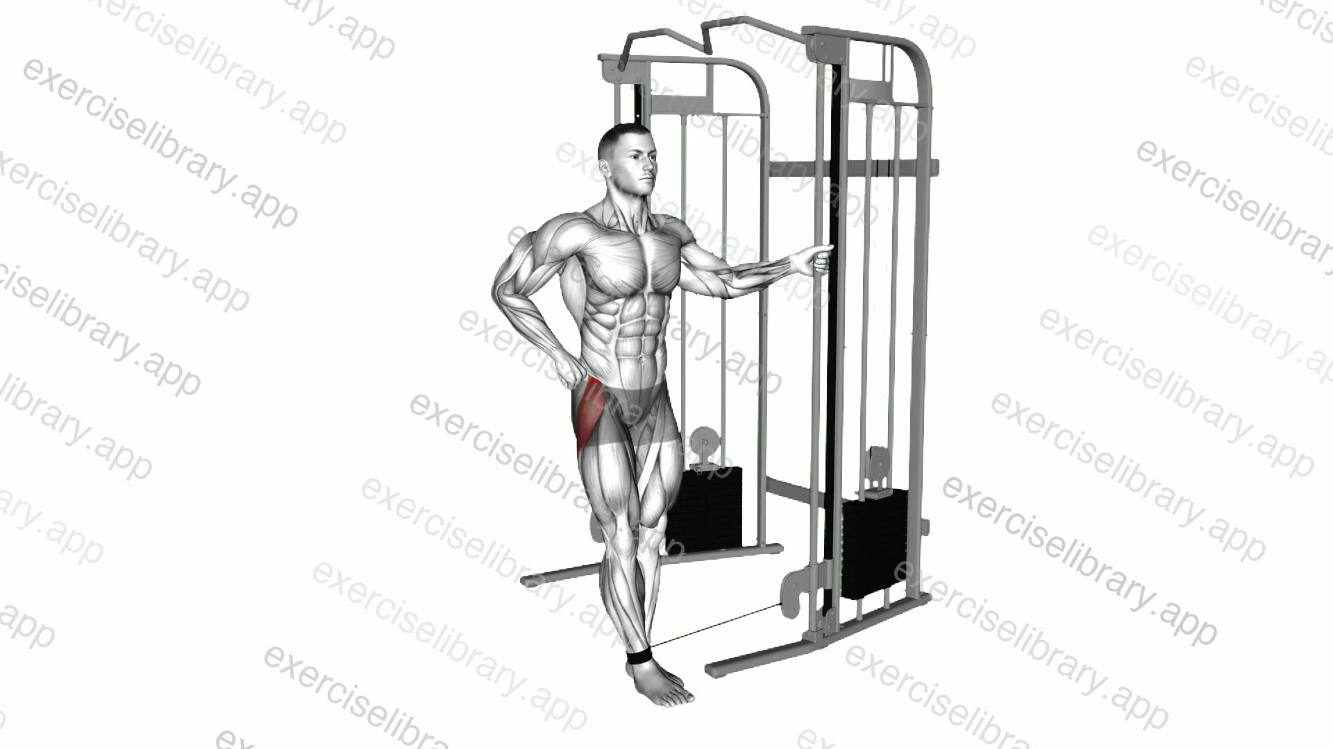 Cable hip abduction demonstration