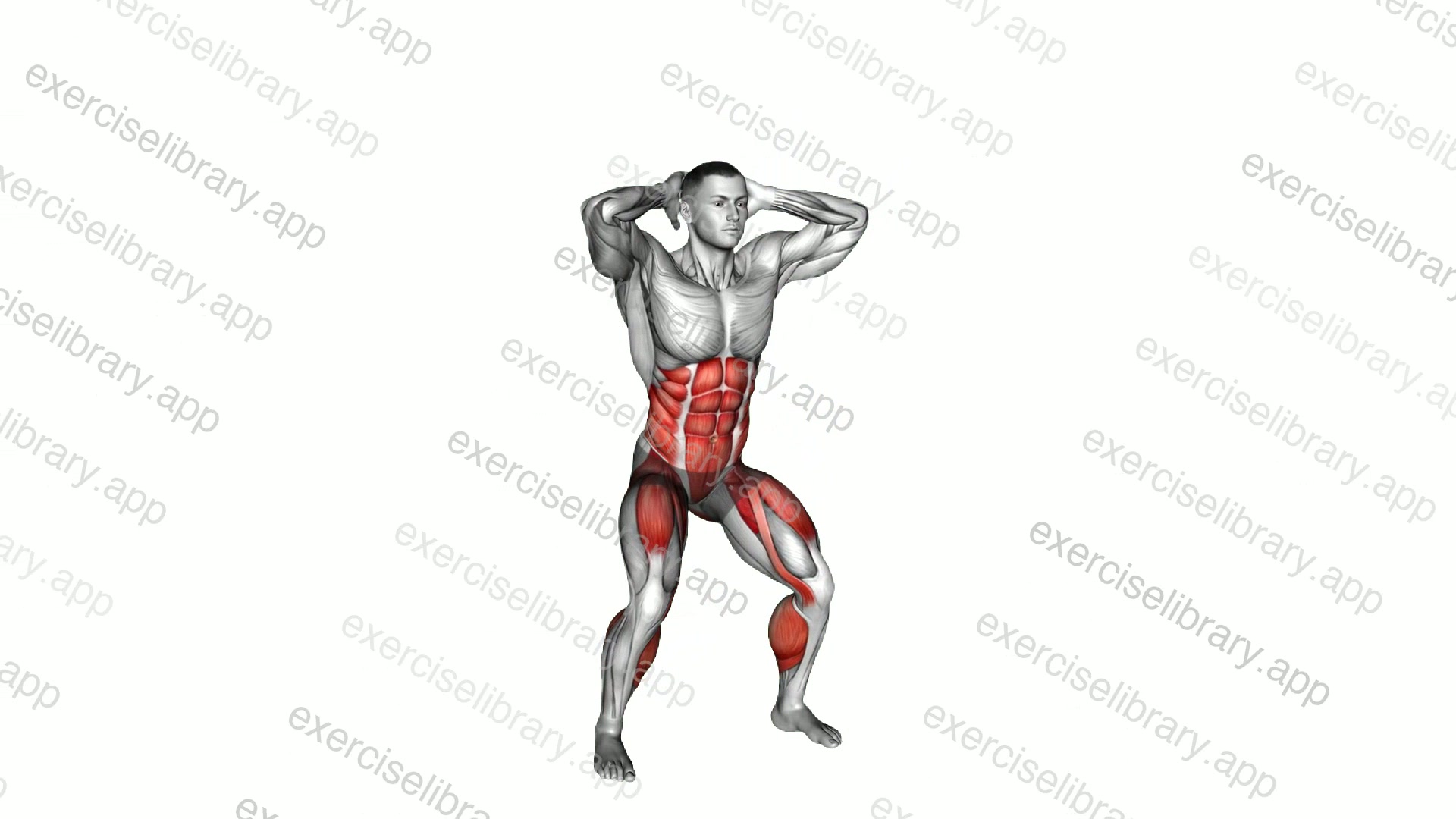 High Knee Squat demonstration