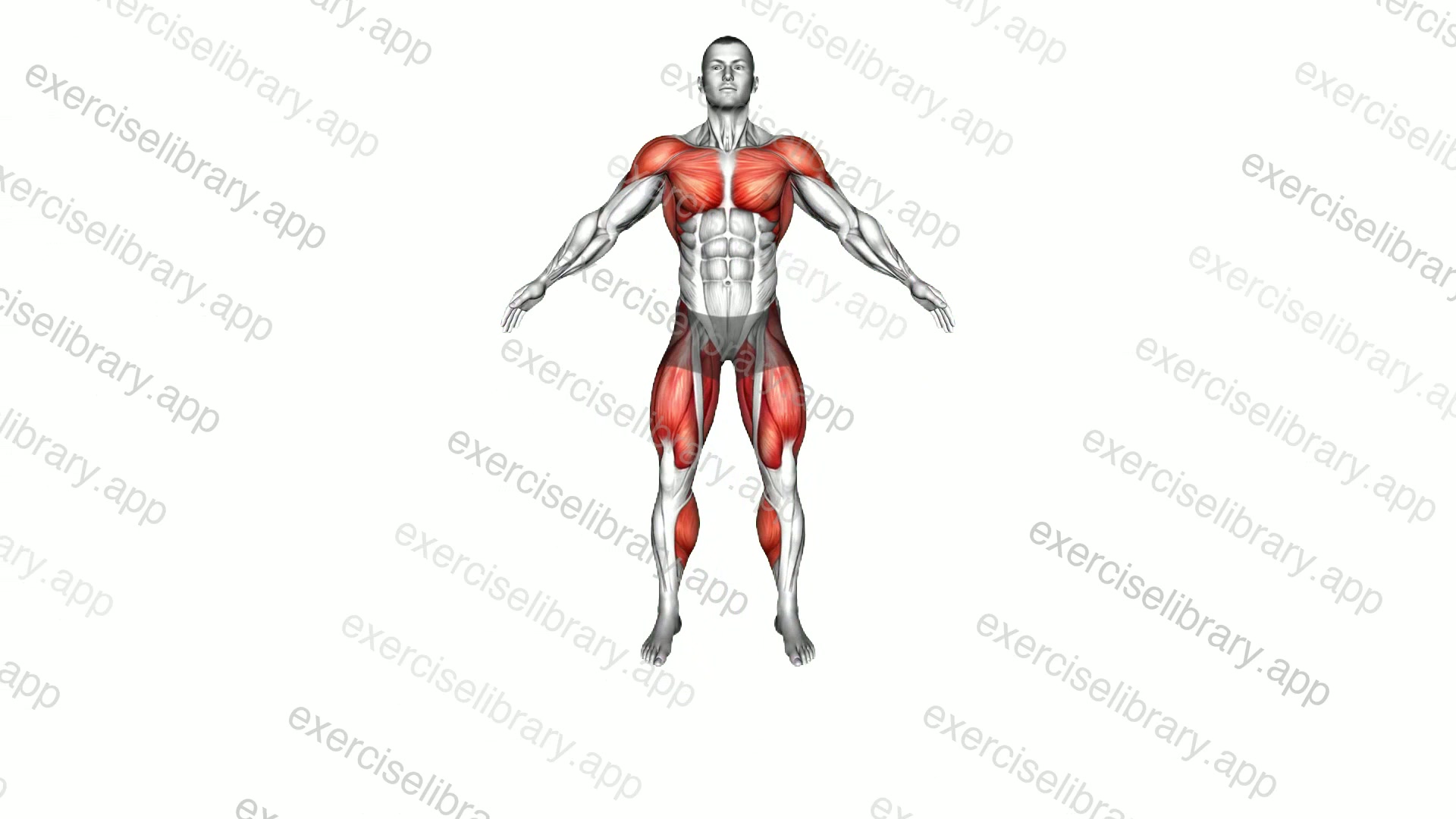 Plyo Jack demonstration
