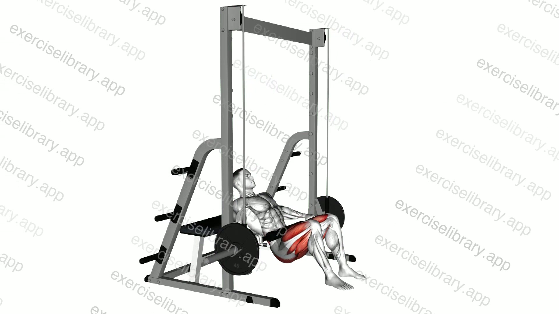 Smith Hip Thrust demonstration