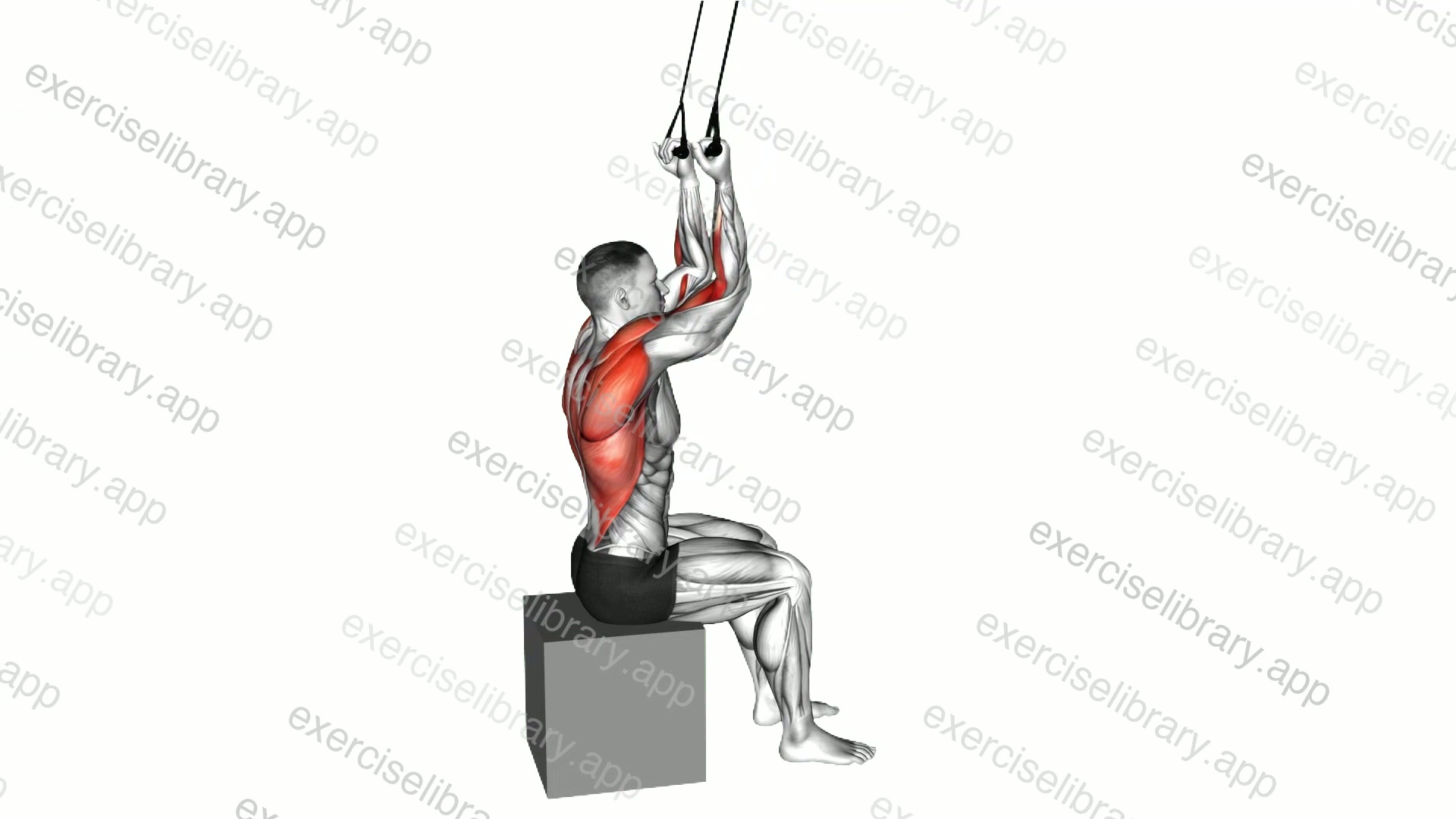 Band Fixed Back Underhand Pulldown demonstration