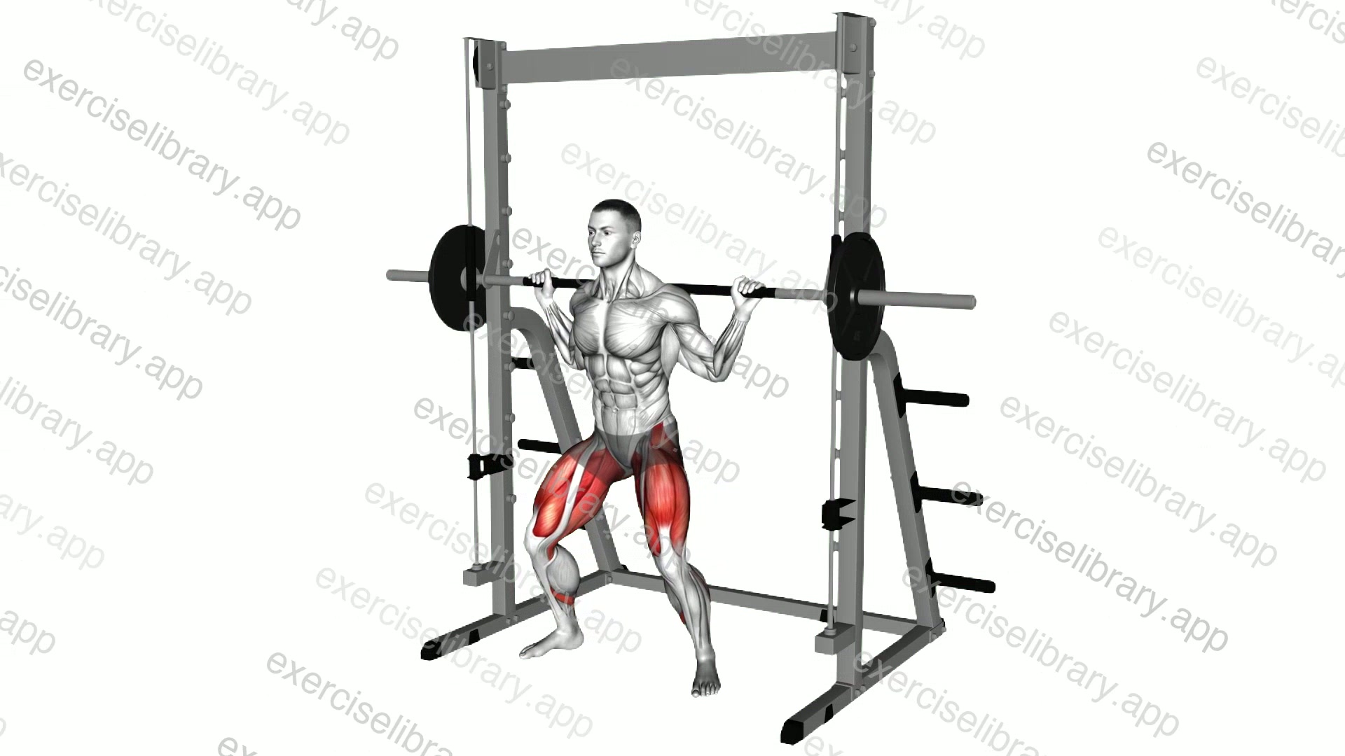 Smith Sumo Squat demonstration