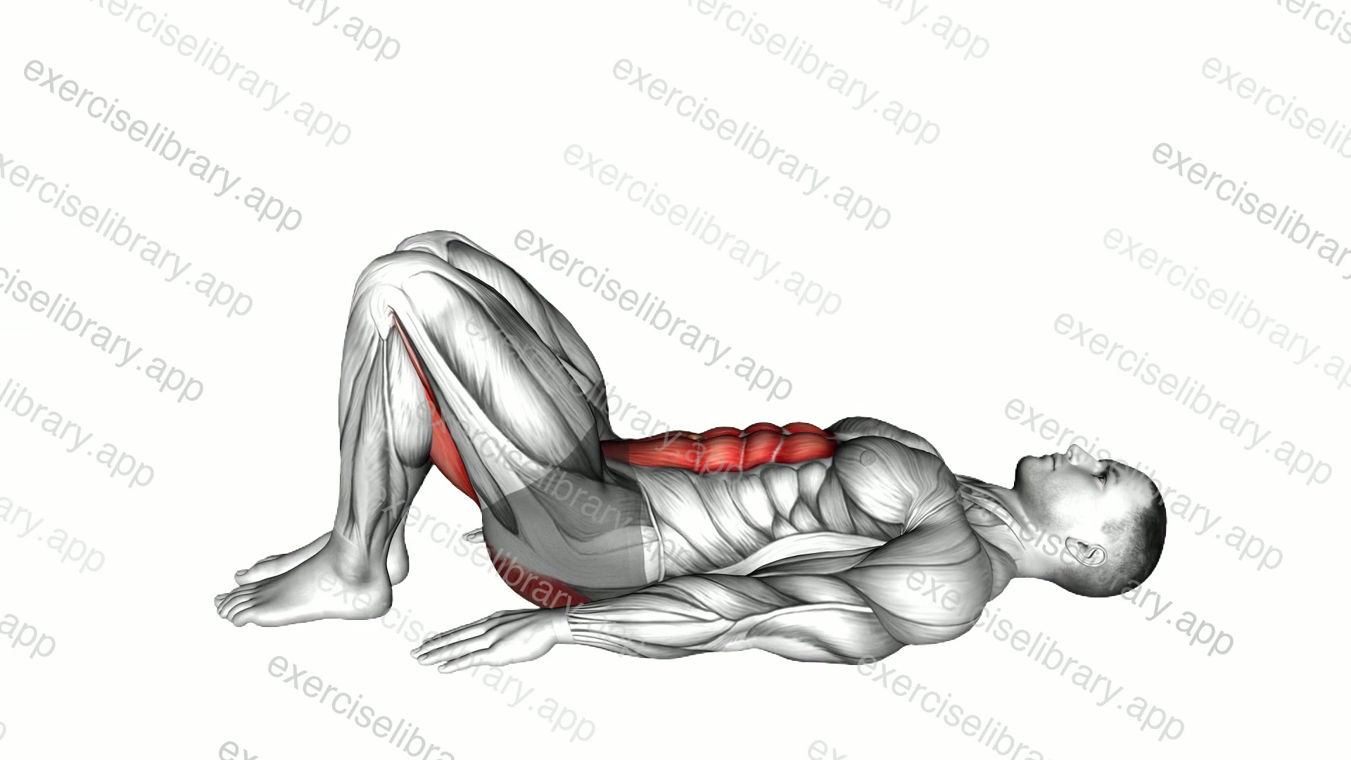 Pelvic Tilt demonstration