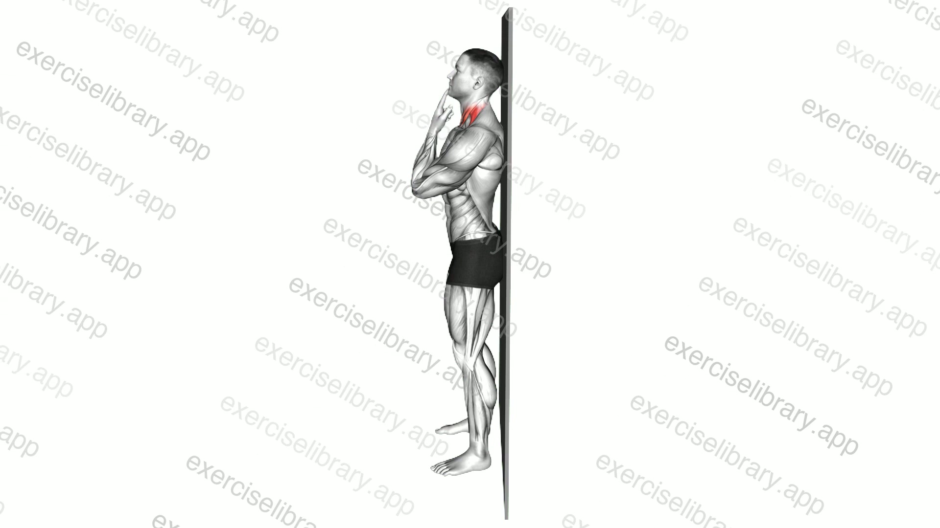 Assisted Chin Tuck demonstration