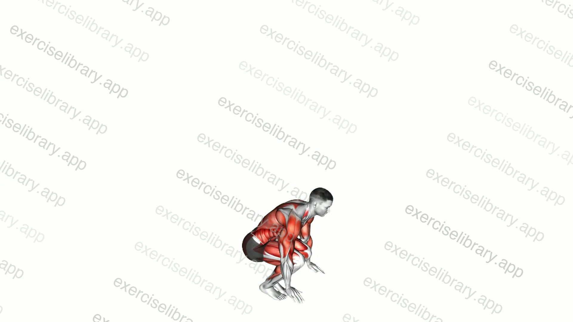 Side Kick Burpee demonstration