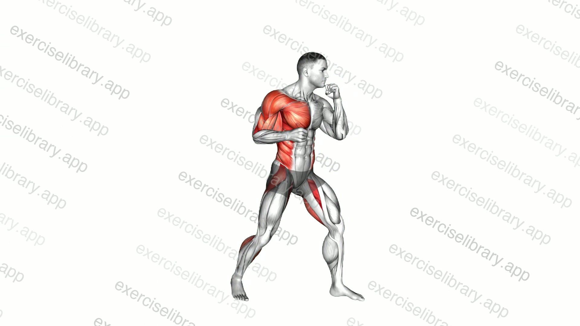 Boxing Right Hook demonstration