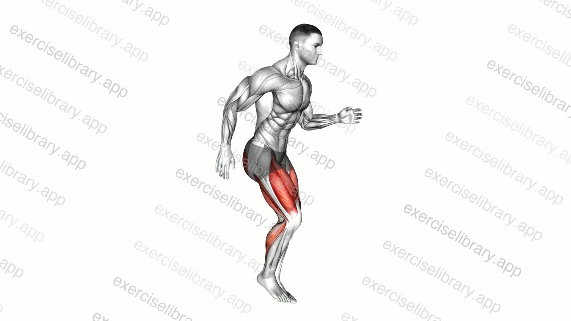 Quick Feet Run demonstration