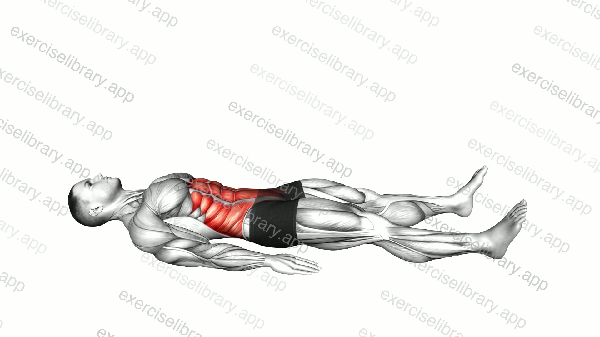 Quarter Sit-up demonstration
