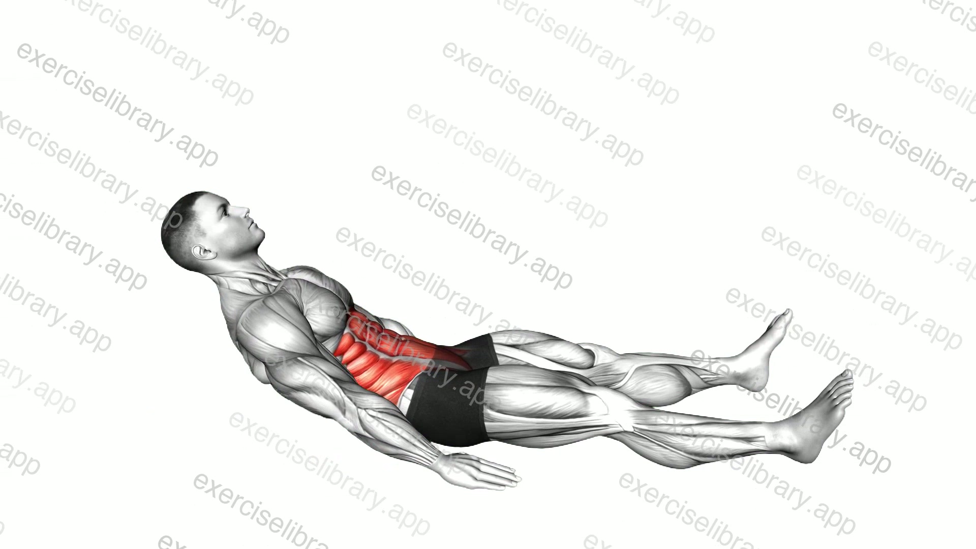 Half Sit-up demonstration