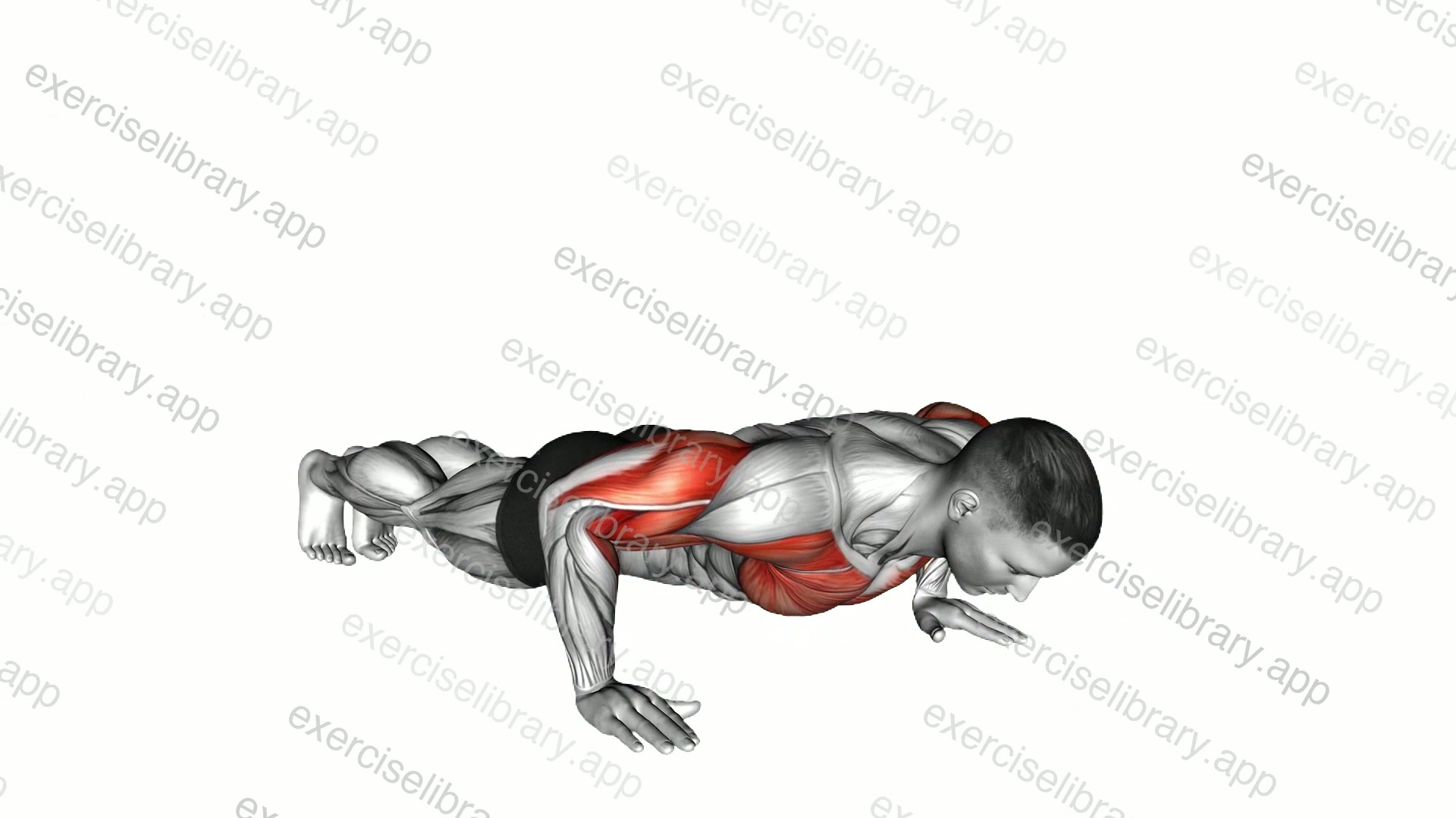 Chest Tap Push-up demonstration