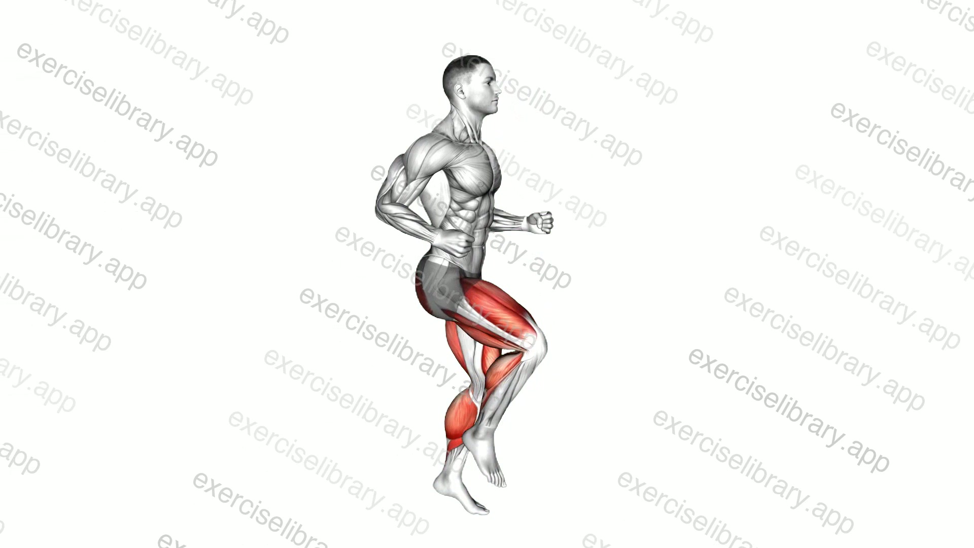 Half Knee Bends demonstration