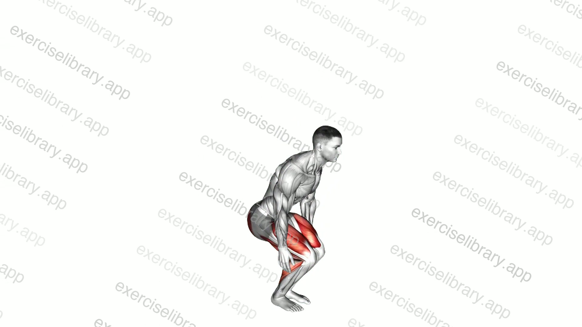 Semi Squat Jump demonstration