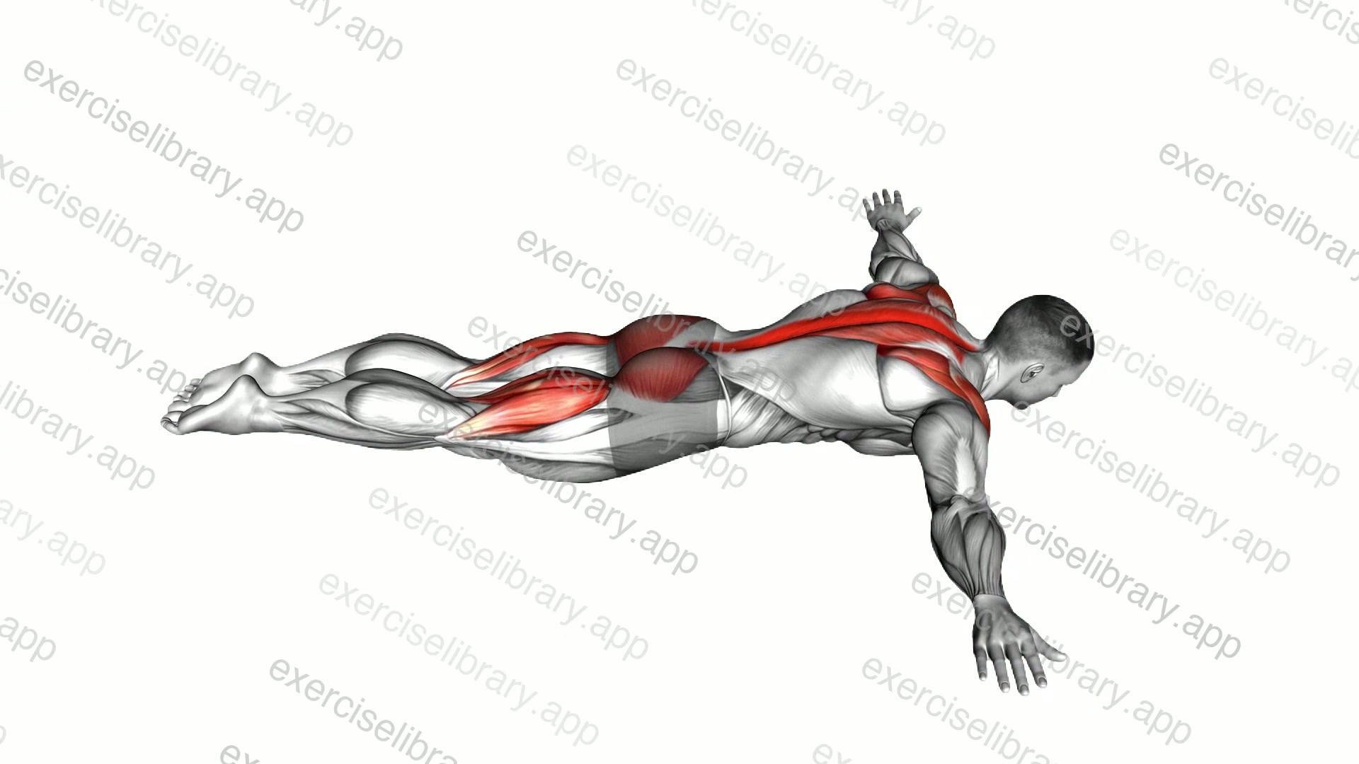 Floor T Raise demonstration