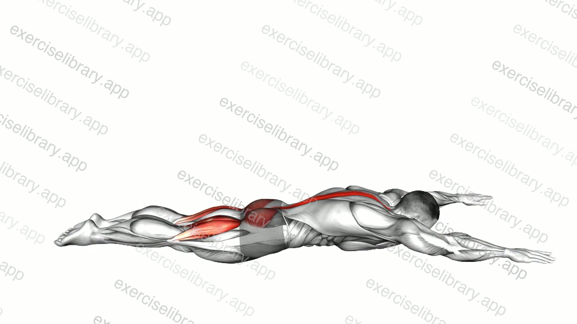 Lying Back Extension demonstration
