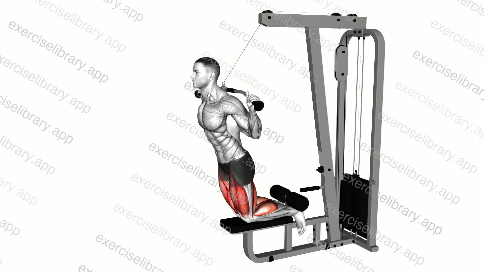Cable Assisted Inverse Leg Curl demonstration