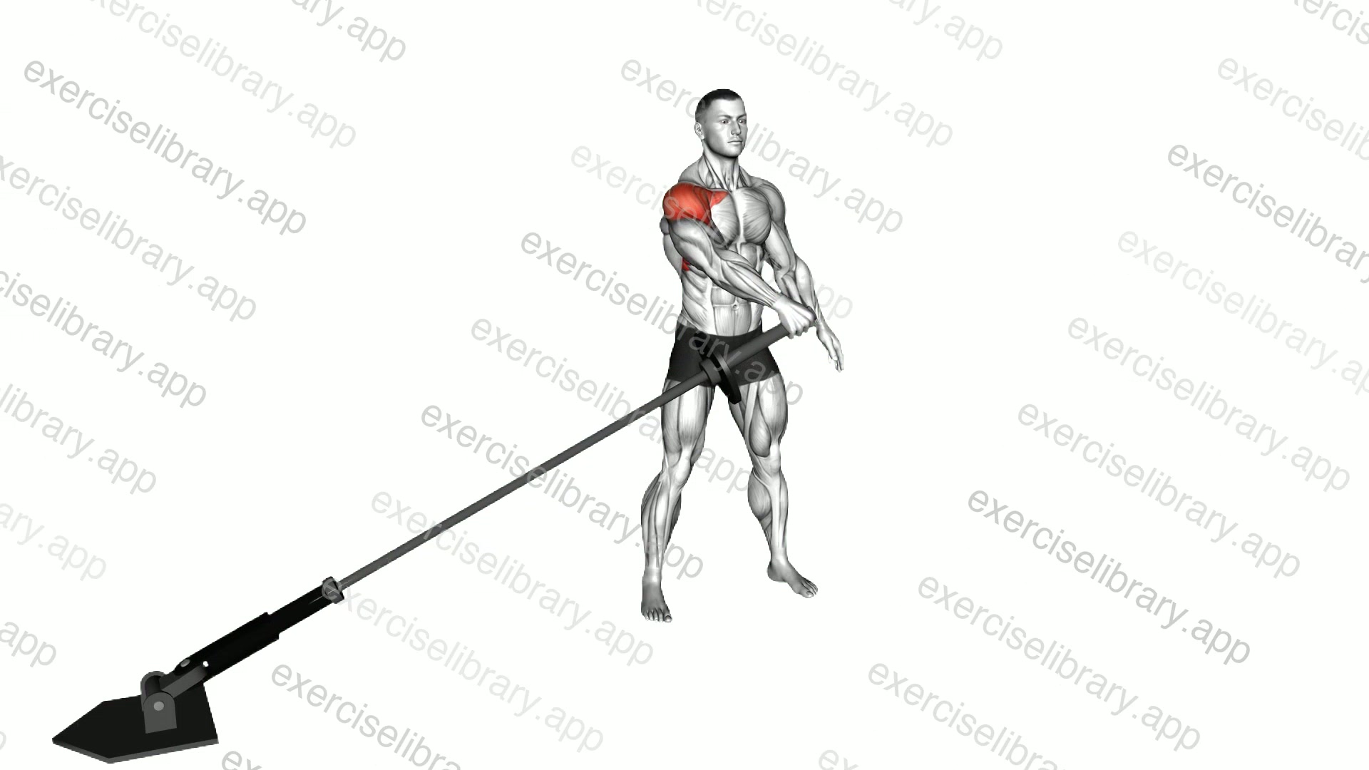 Landmine Lateral Raise demonstration