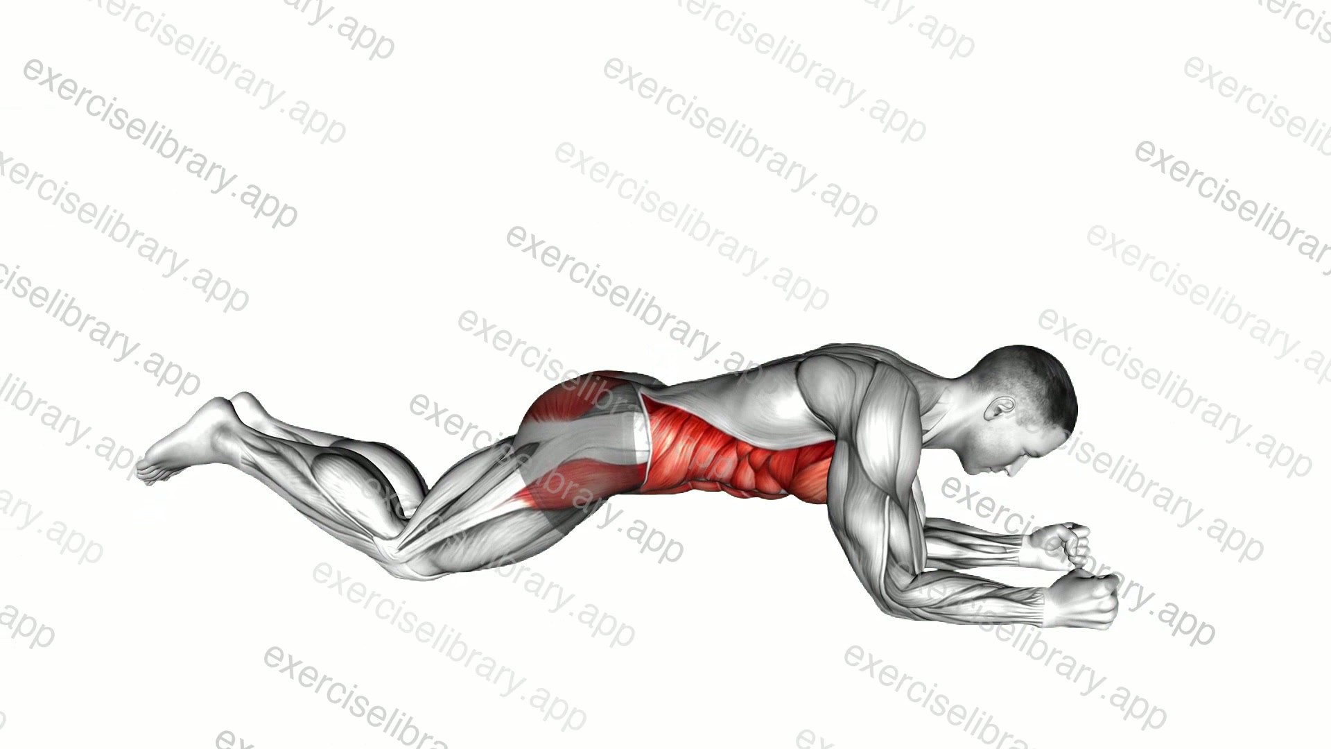 Kneeling plank demonstration