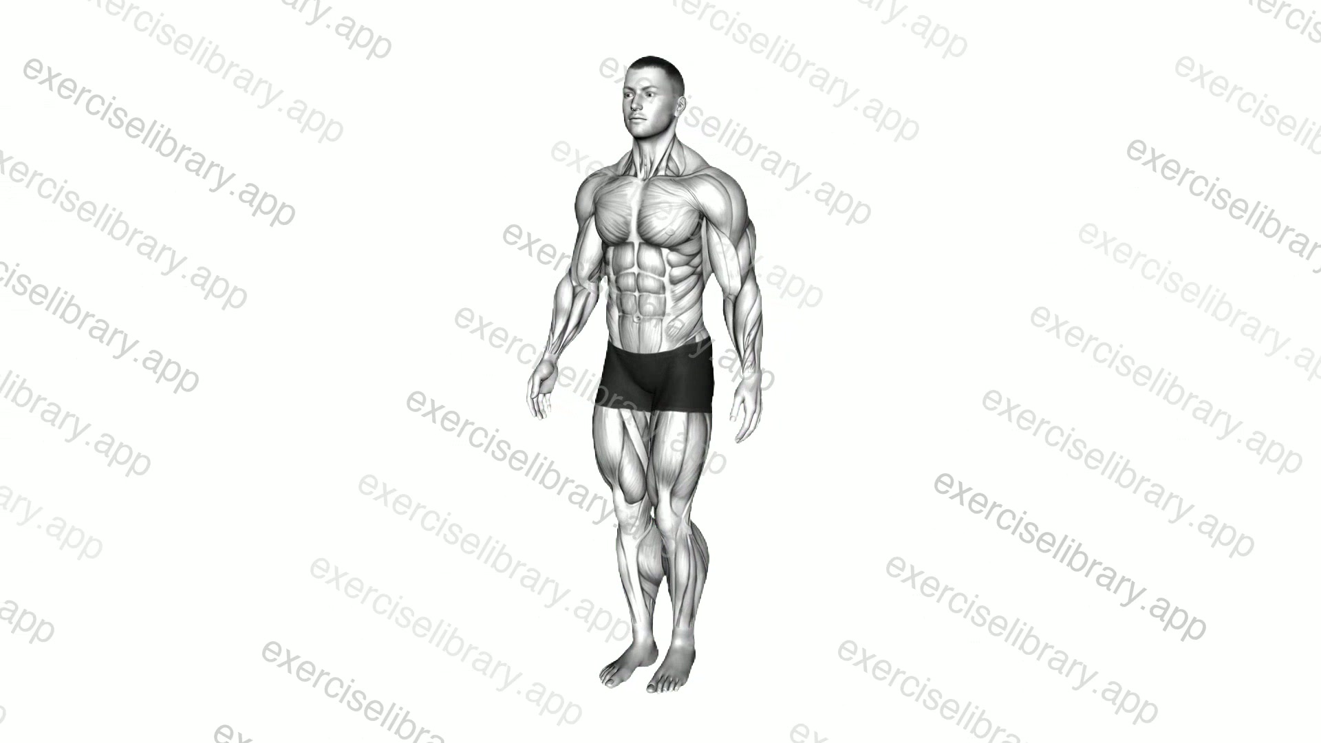 Bodybuilding Pose demonstration