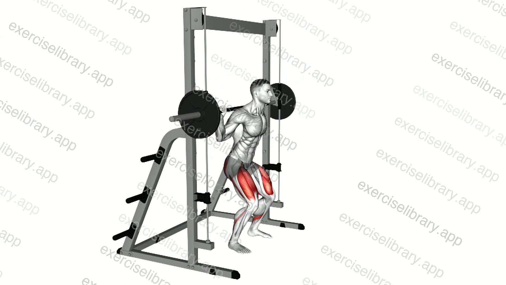 Smith Full Squat demonstration