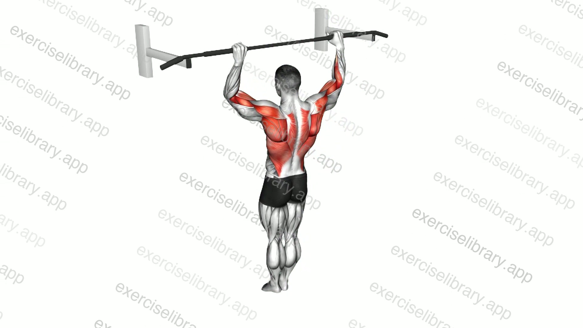 Archer Pull-up demonstration