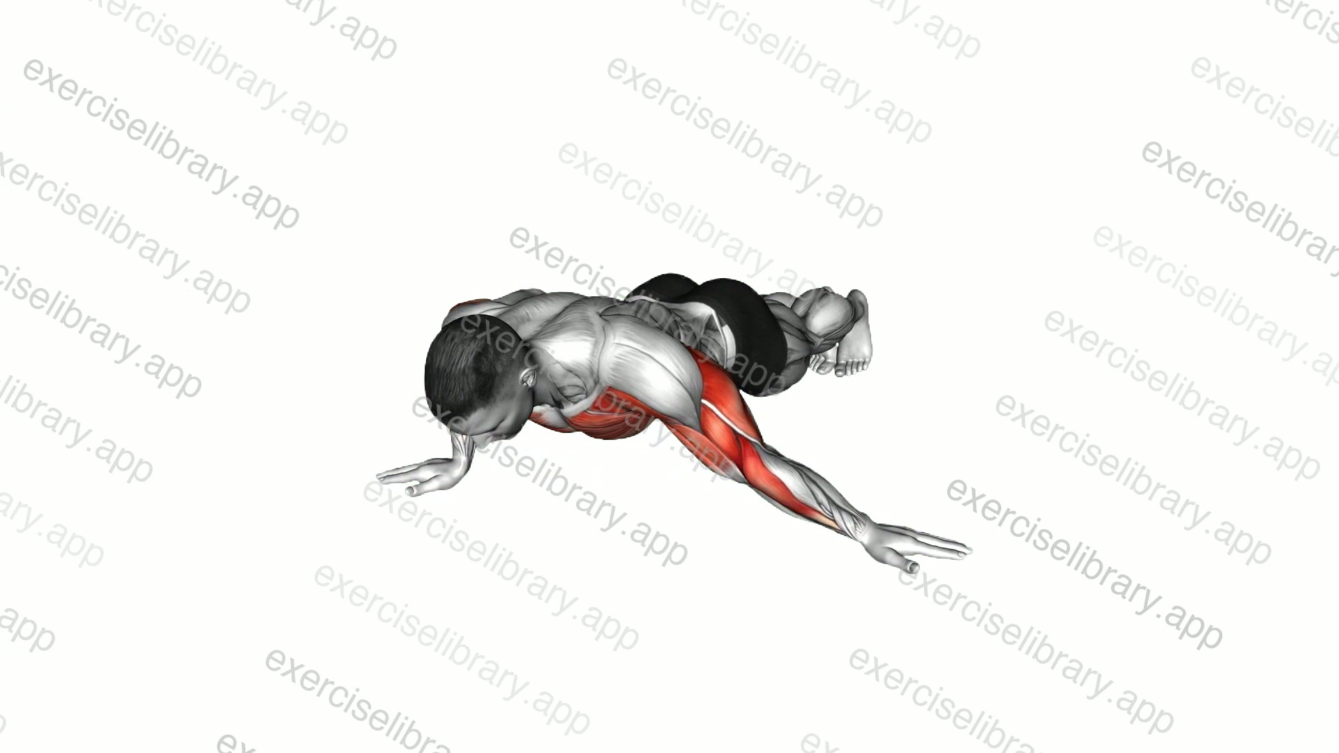 Archer Push-up demonstration