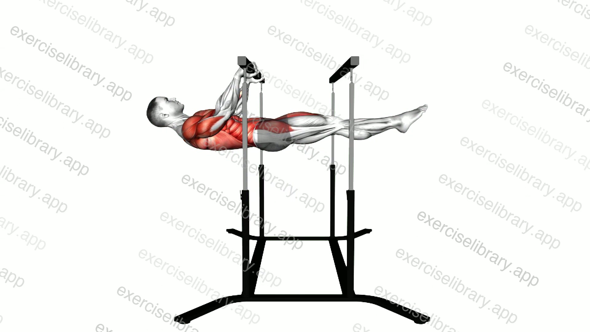 Front Lever Reps demonstration