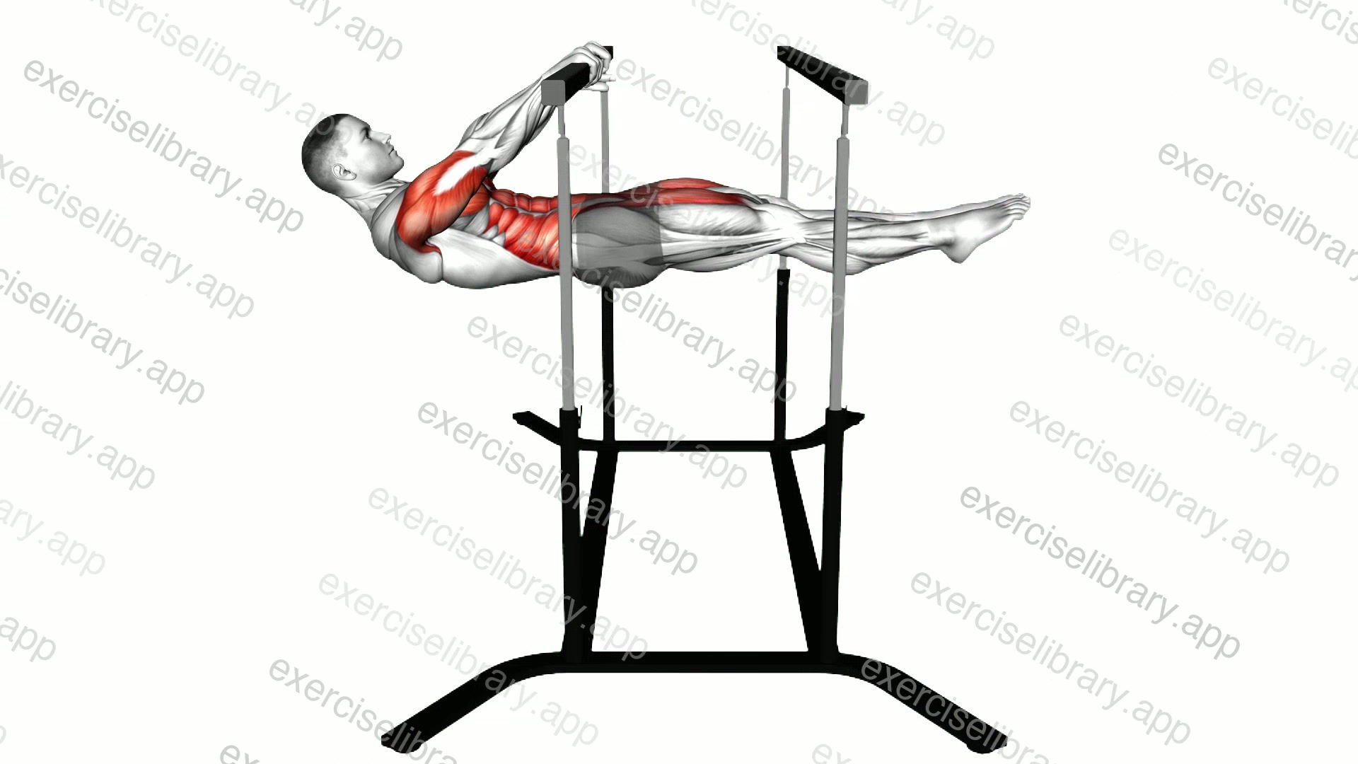 Front Lever demonstration
