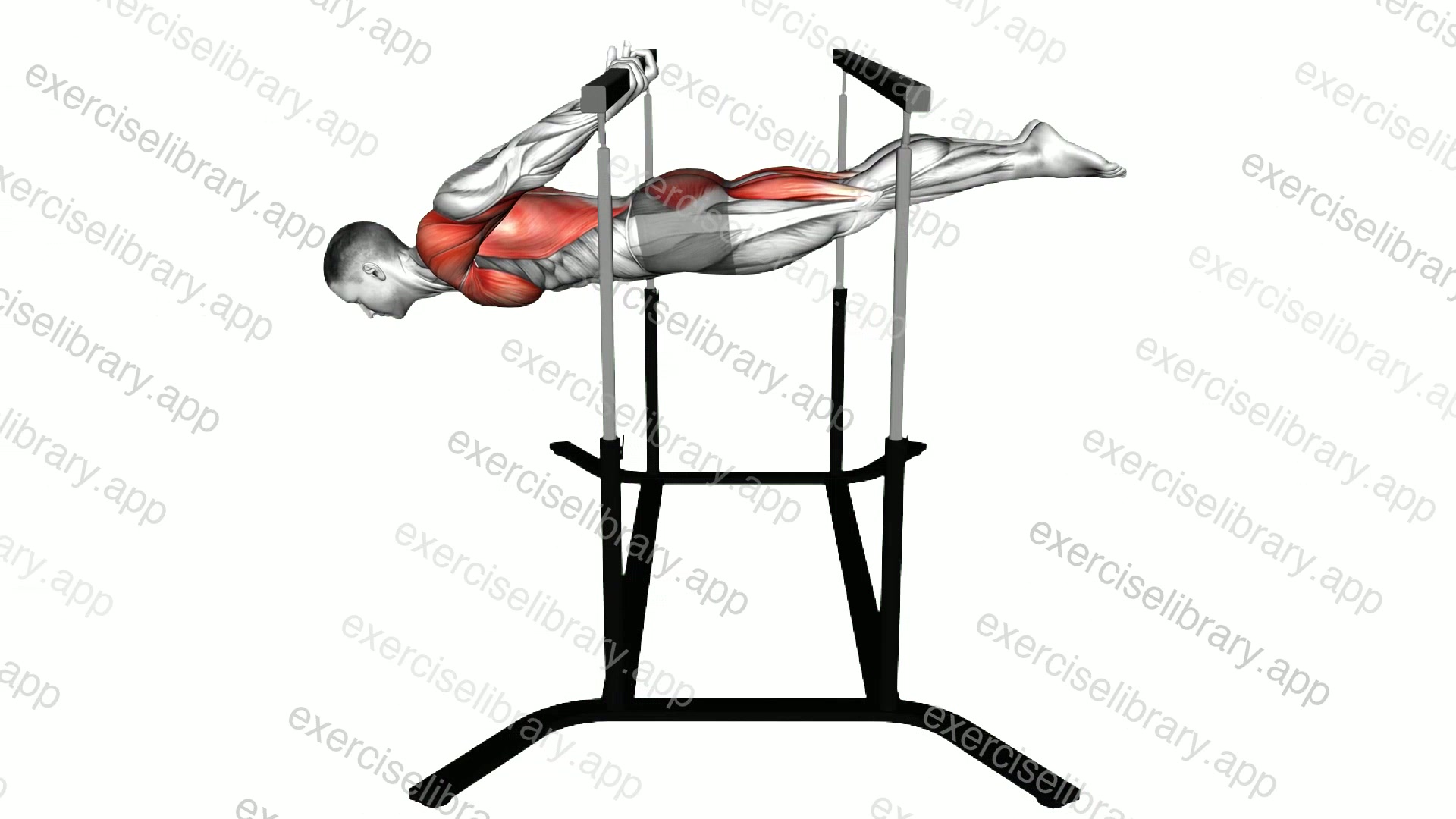 Back lever demonstration
