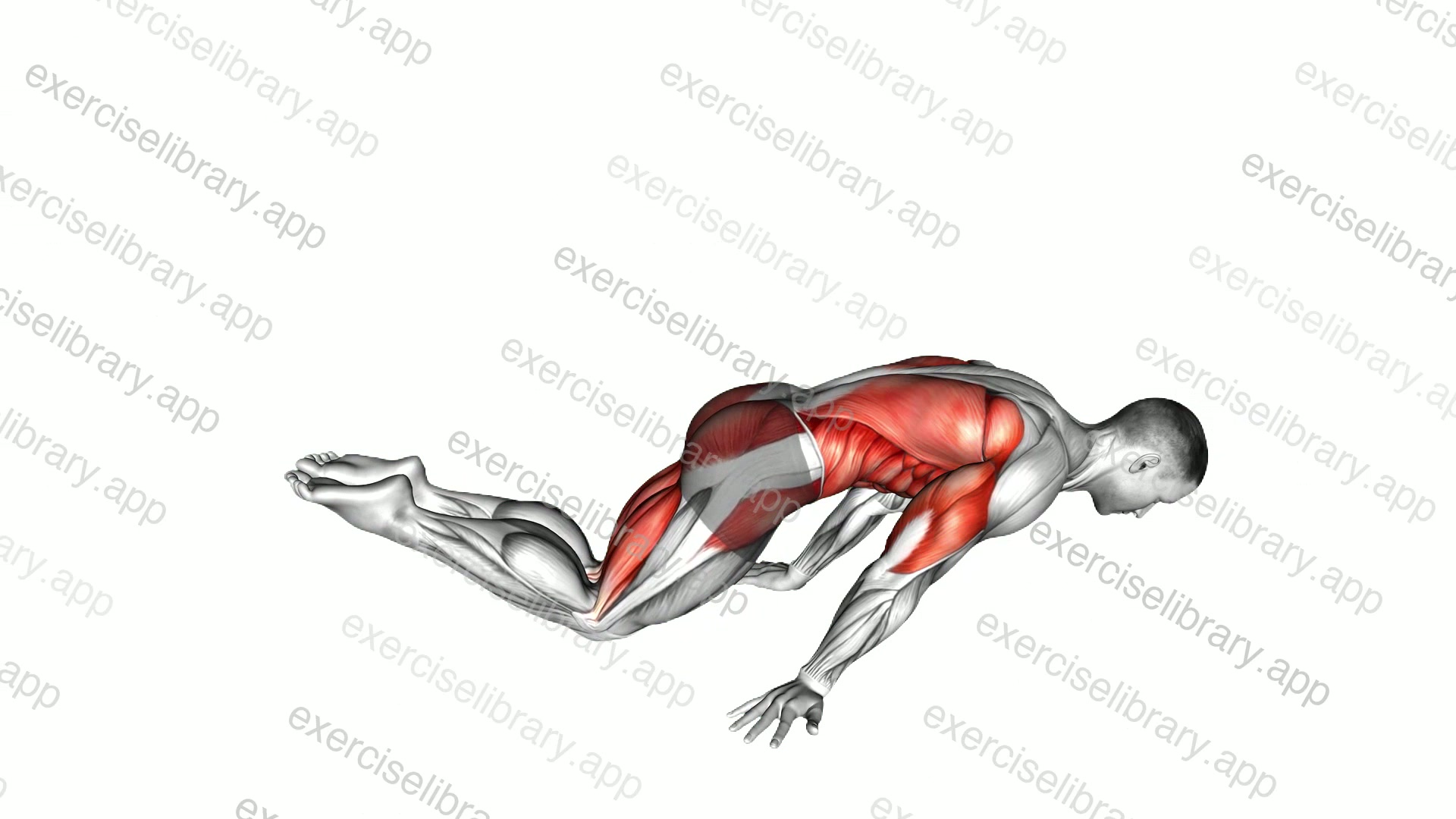 Full planche demonstration