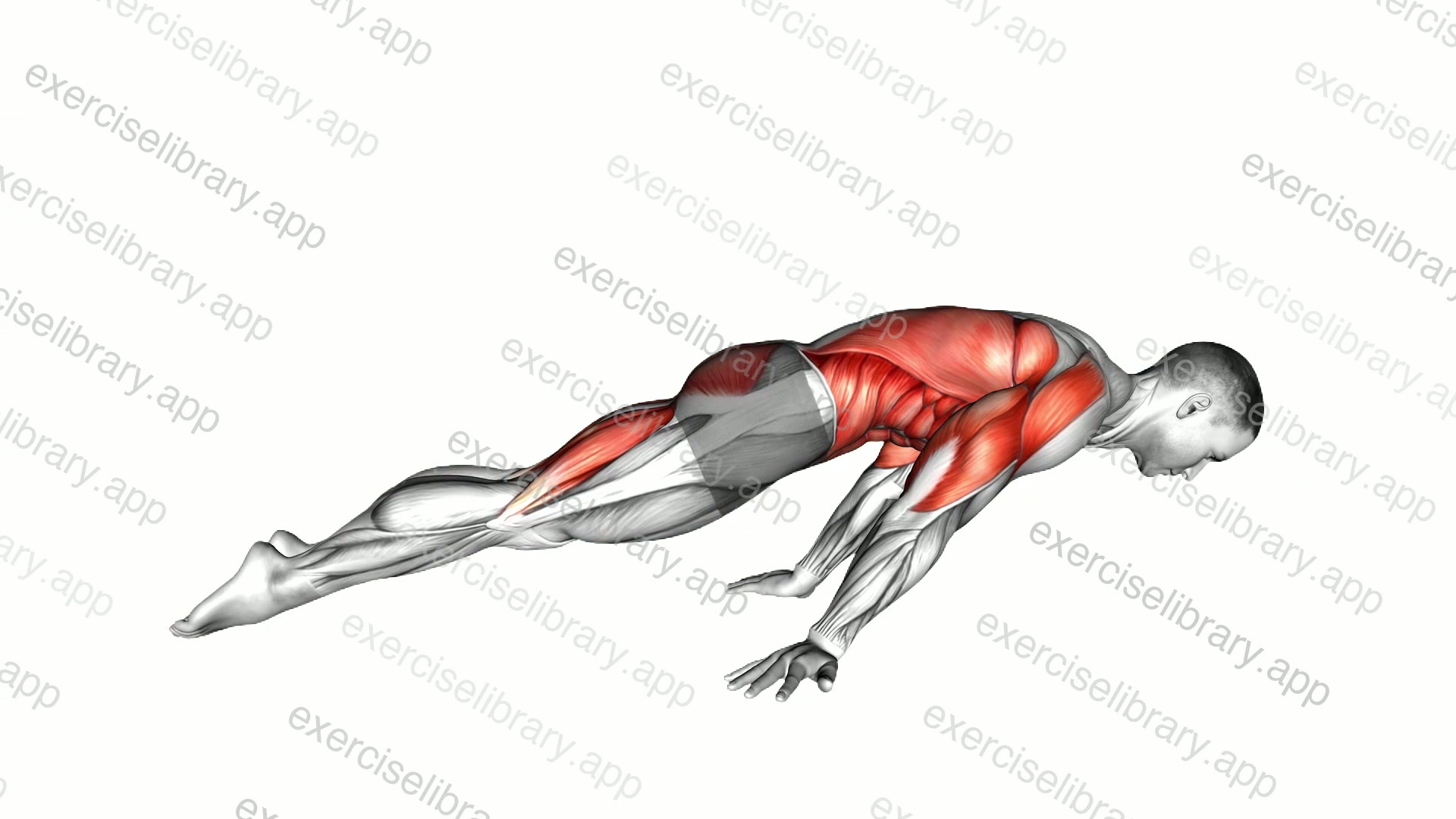 Lean Planche demonstration