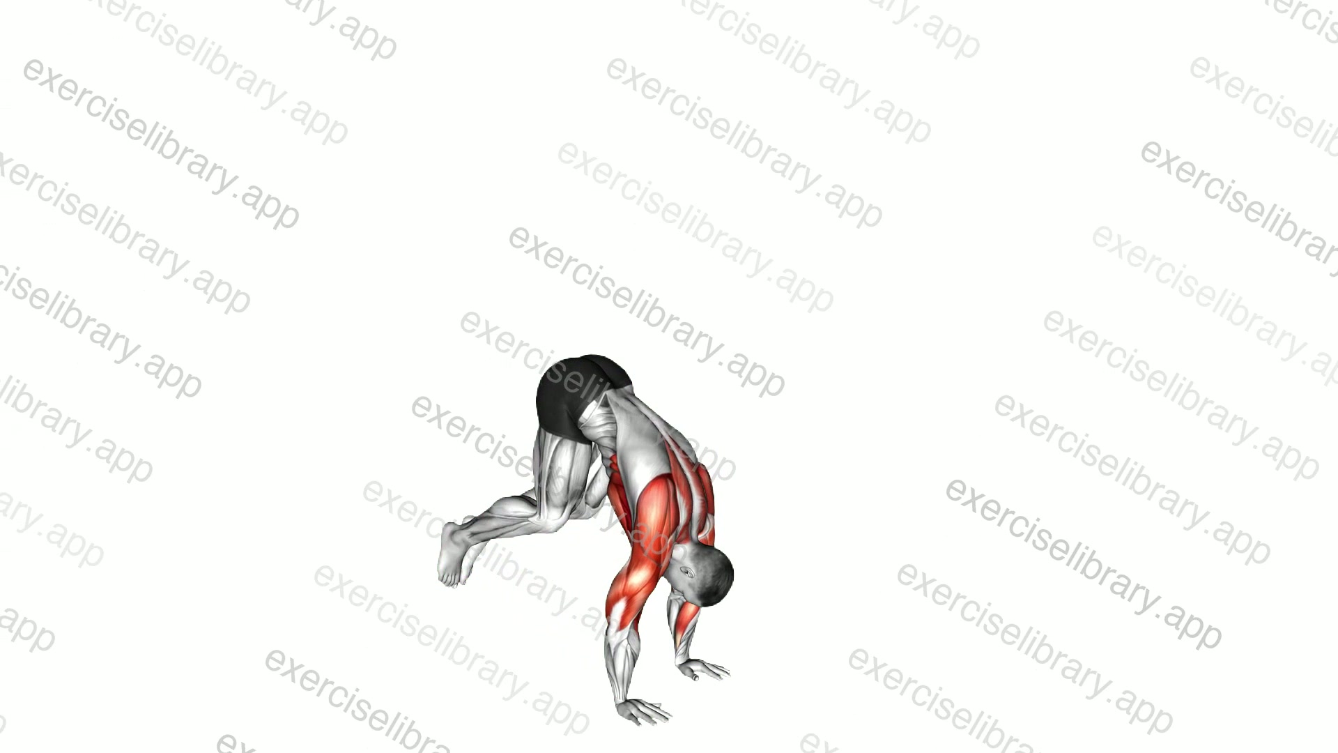 Handstand demonstration