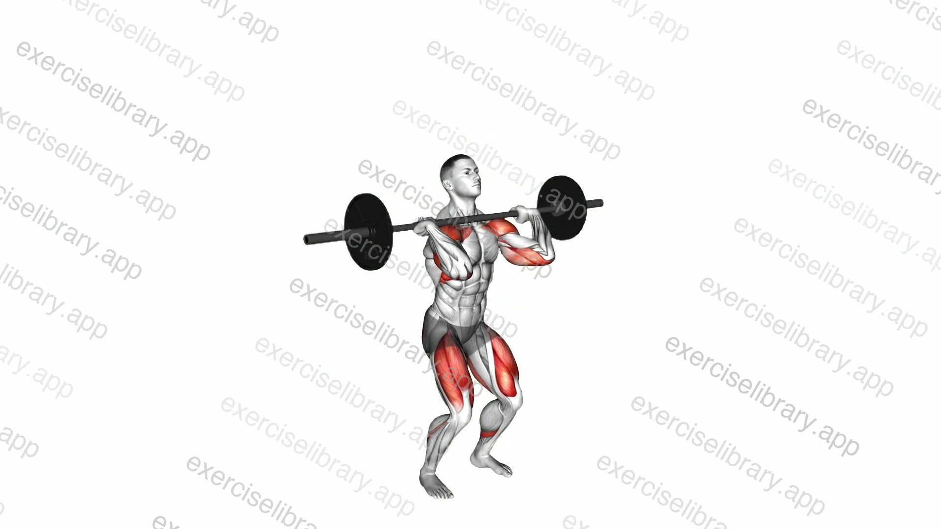 Barbell Thruster demonstration