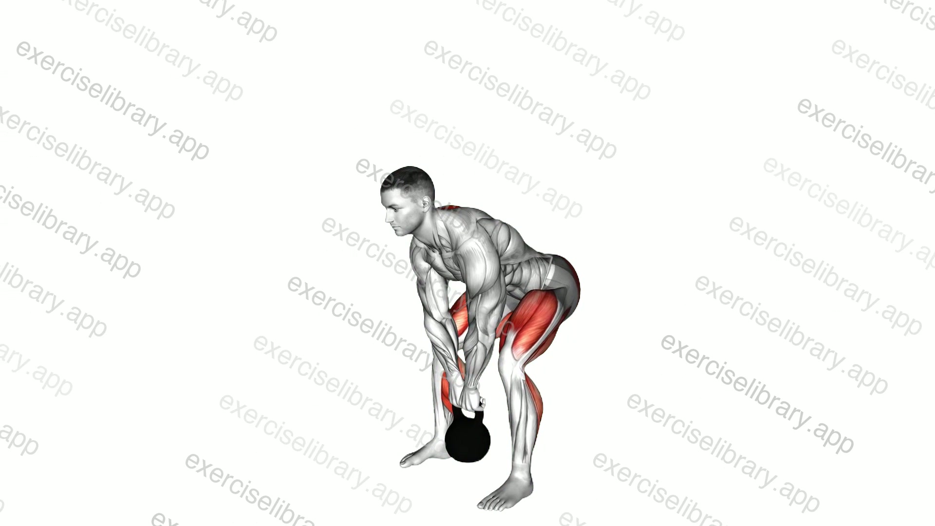 Kettlebell deadlift demonstration