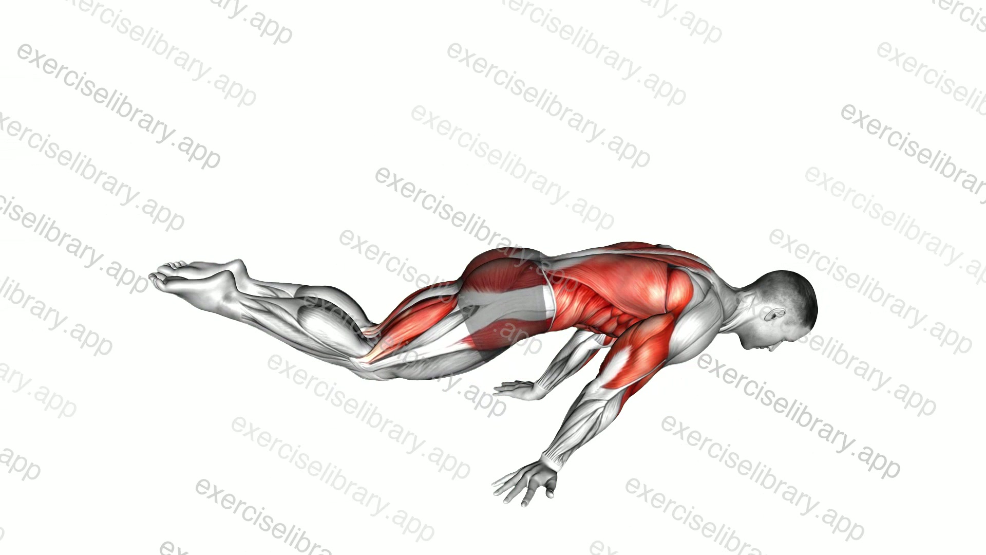 Full Planche Push-up demonstration