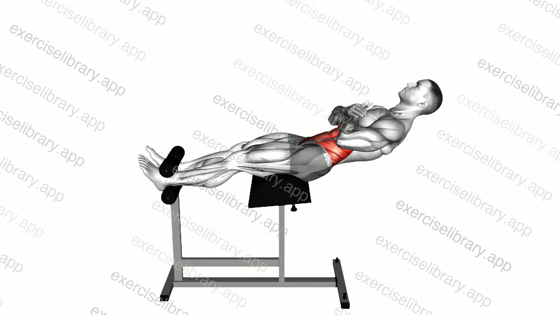 Roman Chair Sit-Up demonstration