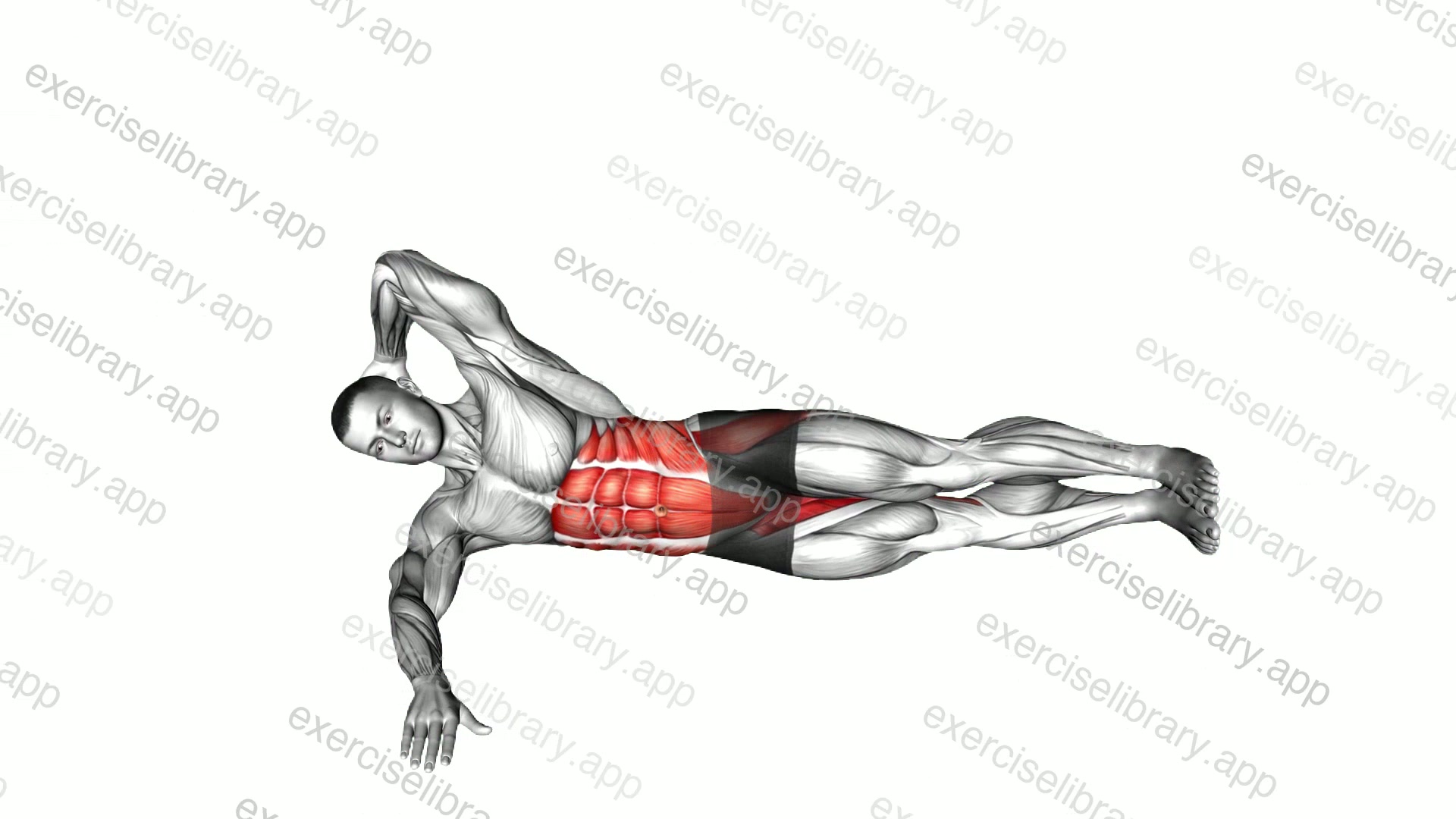 Oblique Crunches with Straight Leg Lift demonstration