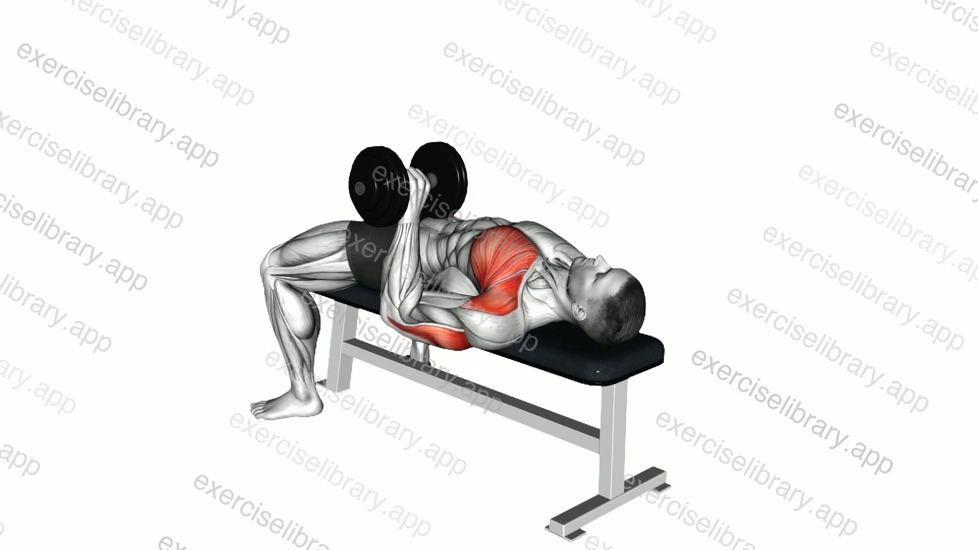 Dumbbell One Arm Wide Grip Bench Press demonstration