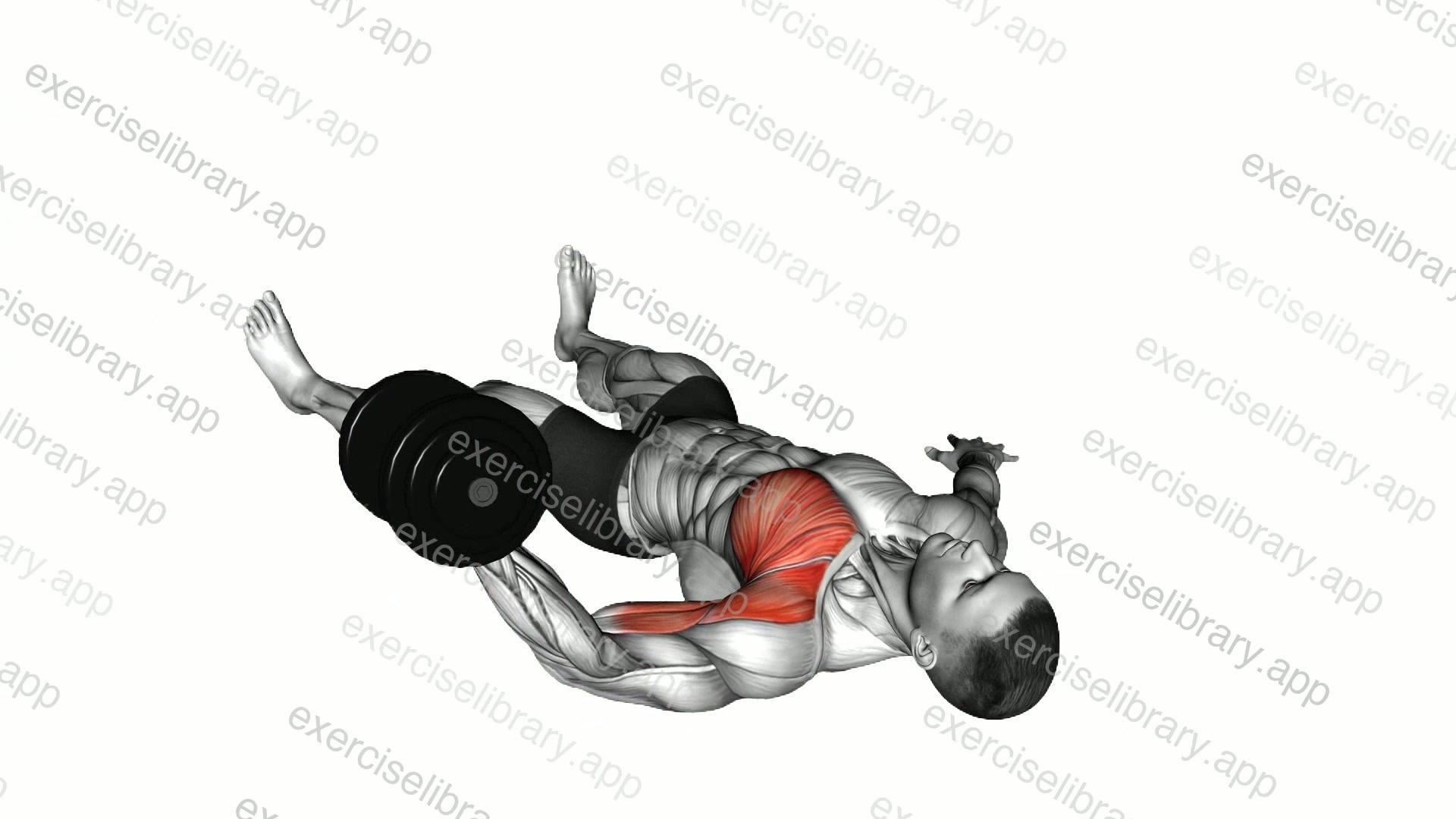 Dumbbell One Arm Floor Fly demonstration