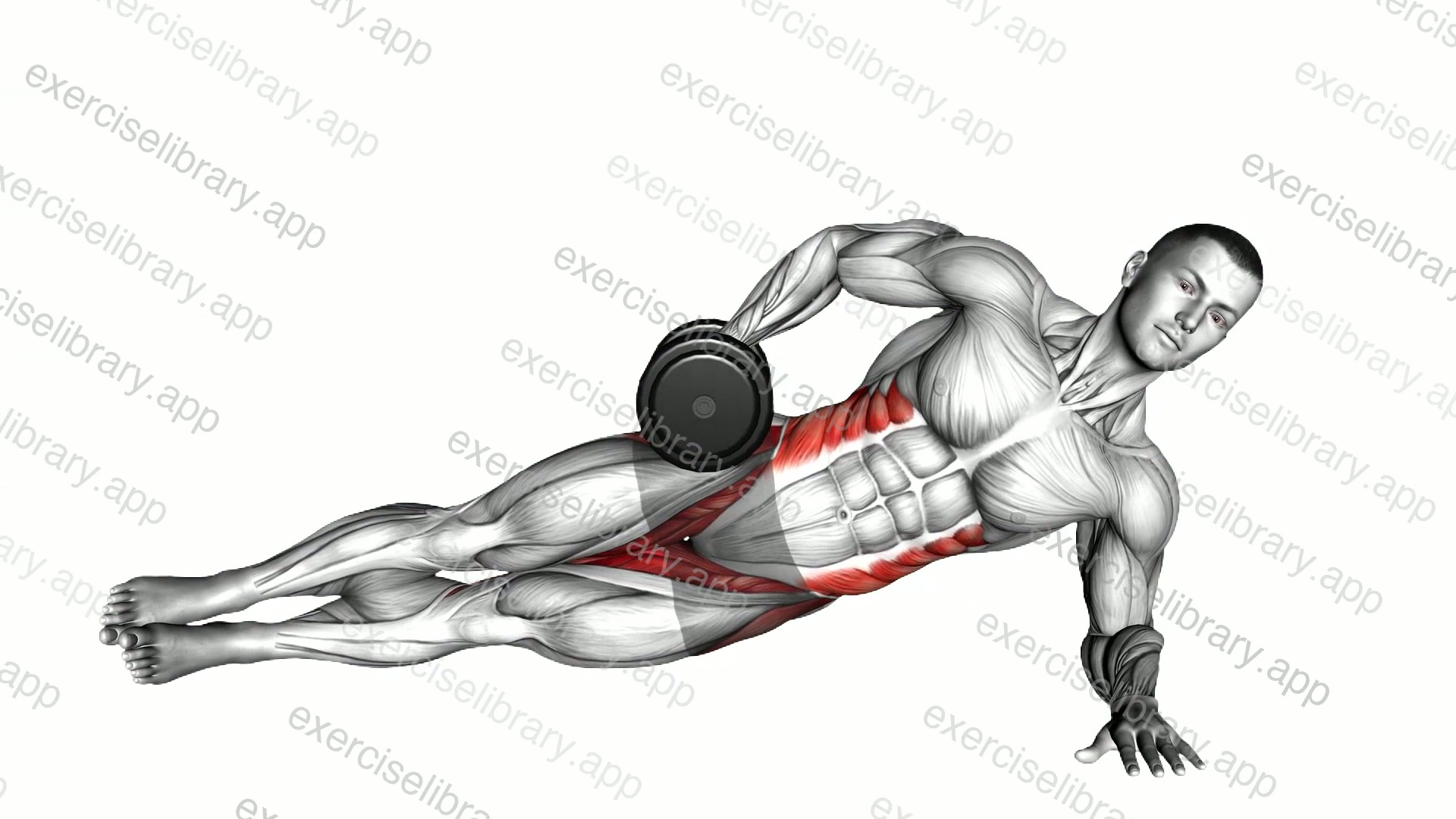 Dumbbell Side Bridge demonstration