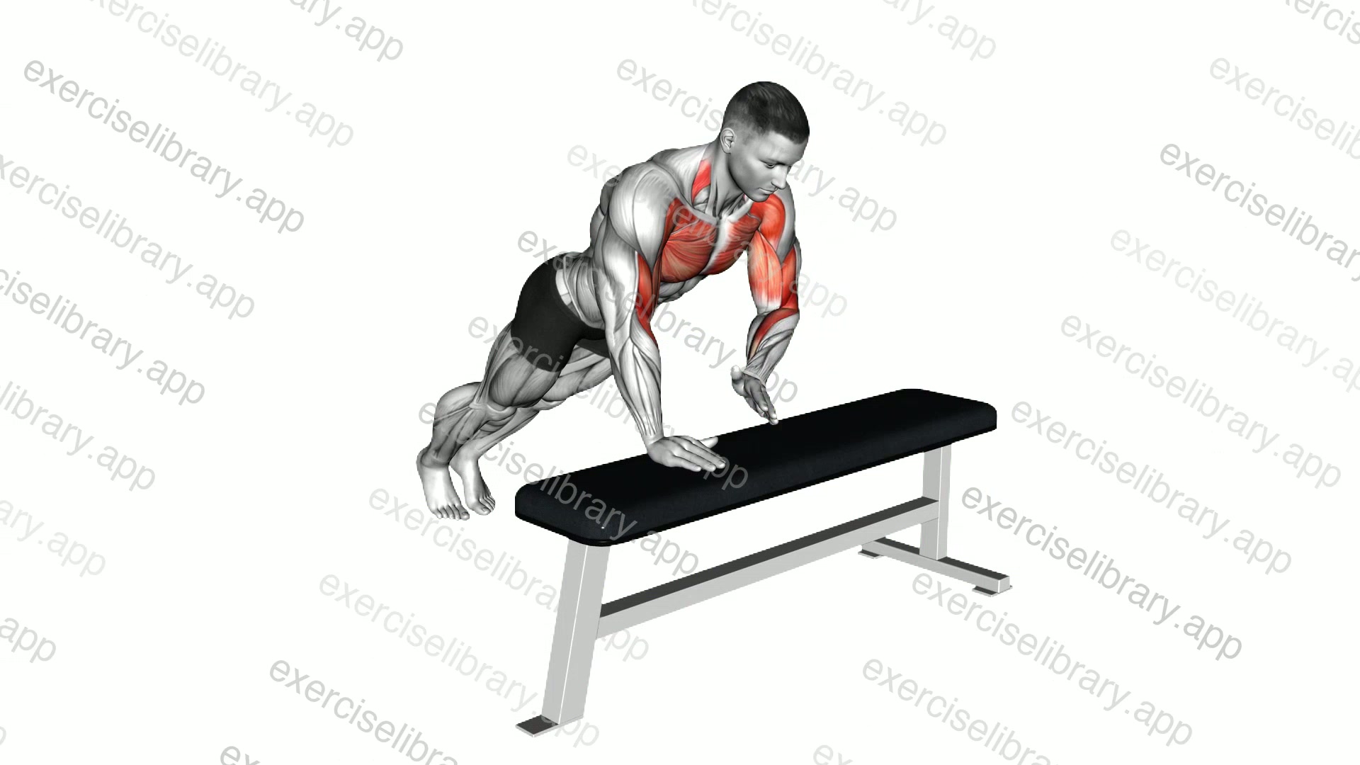 Incline Shoulder Tap demonstration