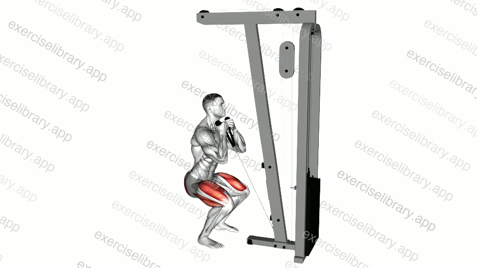 Cable Front Squat demonstration