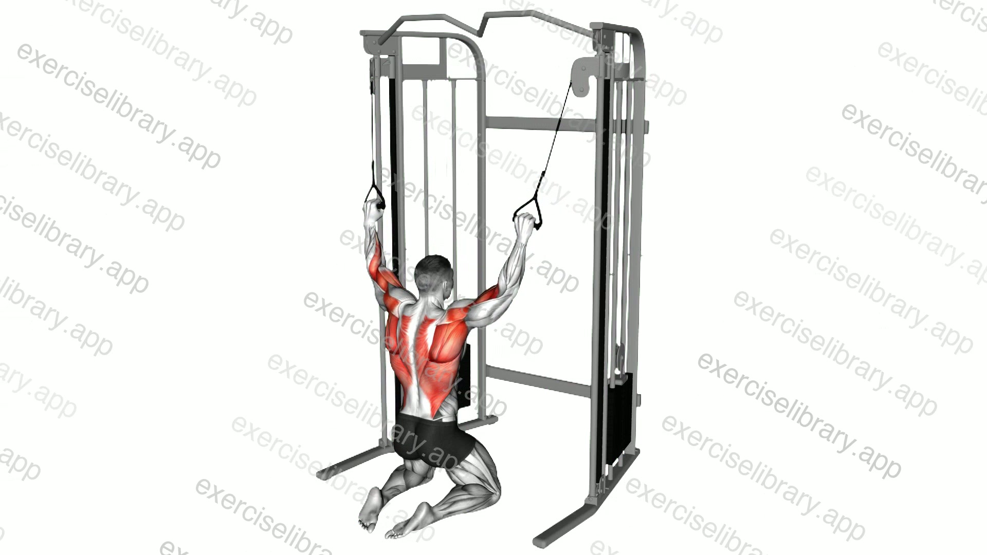Cable Parallel Grip Lat Pulldown on Floor demonstration