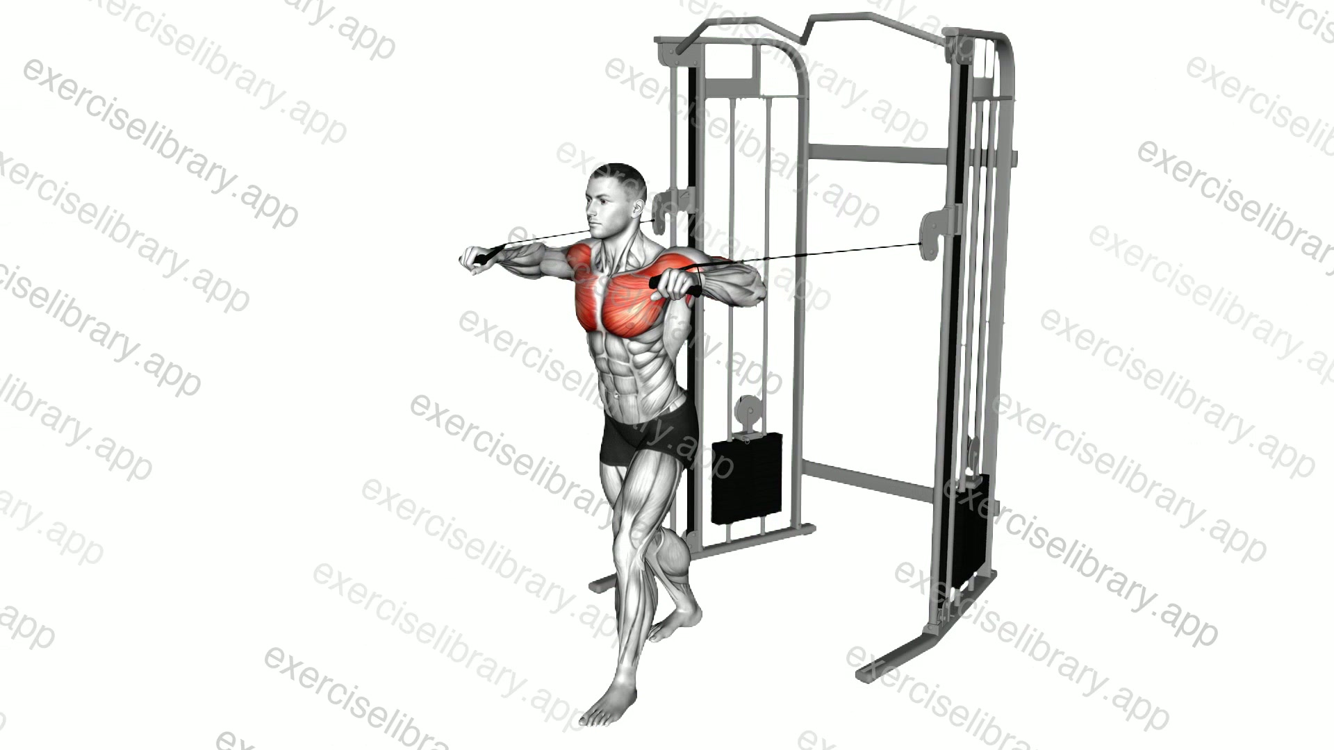 Cable Standing Chest Press demonstration