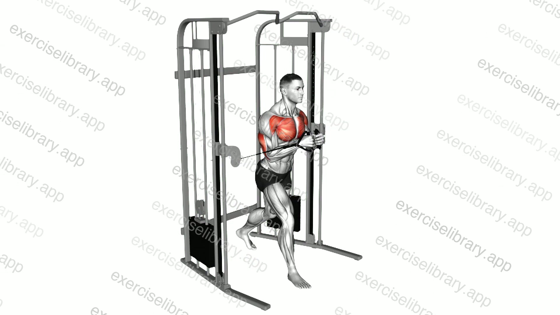 Cable Standing Close Press demonstration
