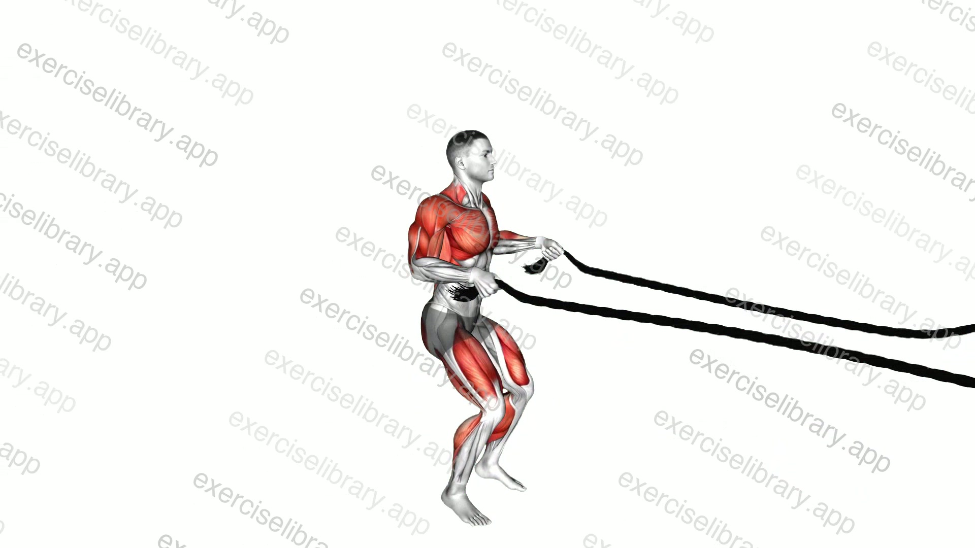 Battling Ropes Alternate Arms Jump Squat demonstration